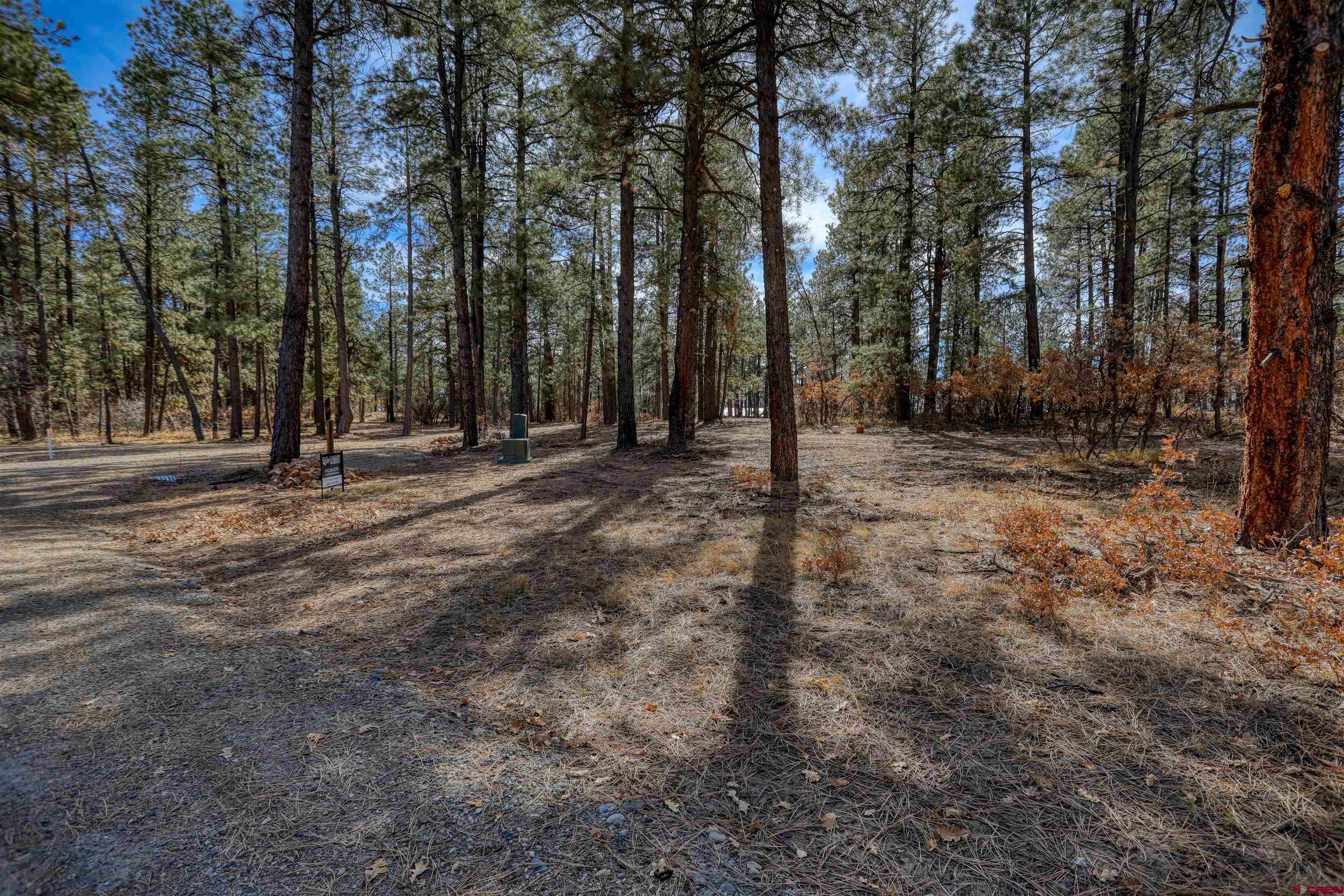 3700-A County Road 600 Lots 1&2, Pagosa Springs, CO 81147 Listing Photo  29