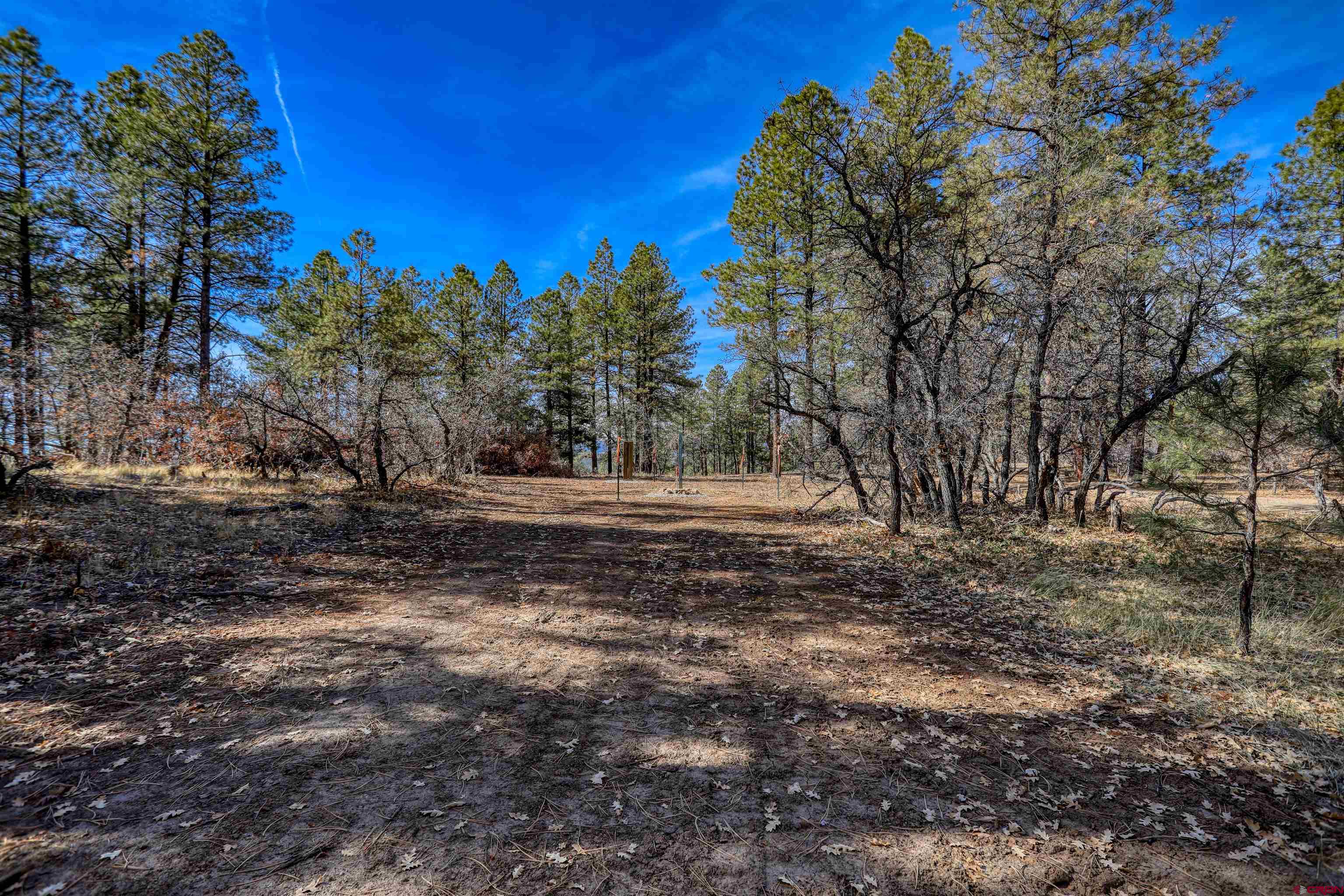 3700-A County Road 600 Lots 1&2, Pagosa Springs, CO 81147 Listing Photo  32