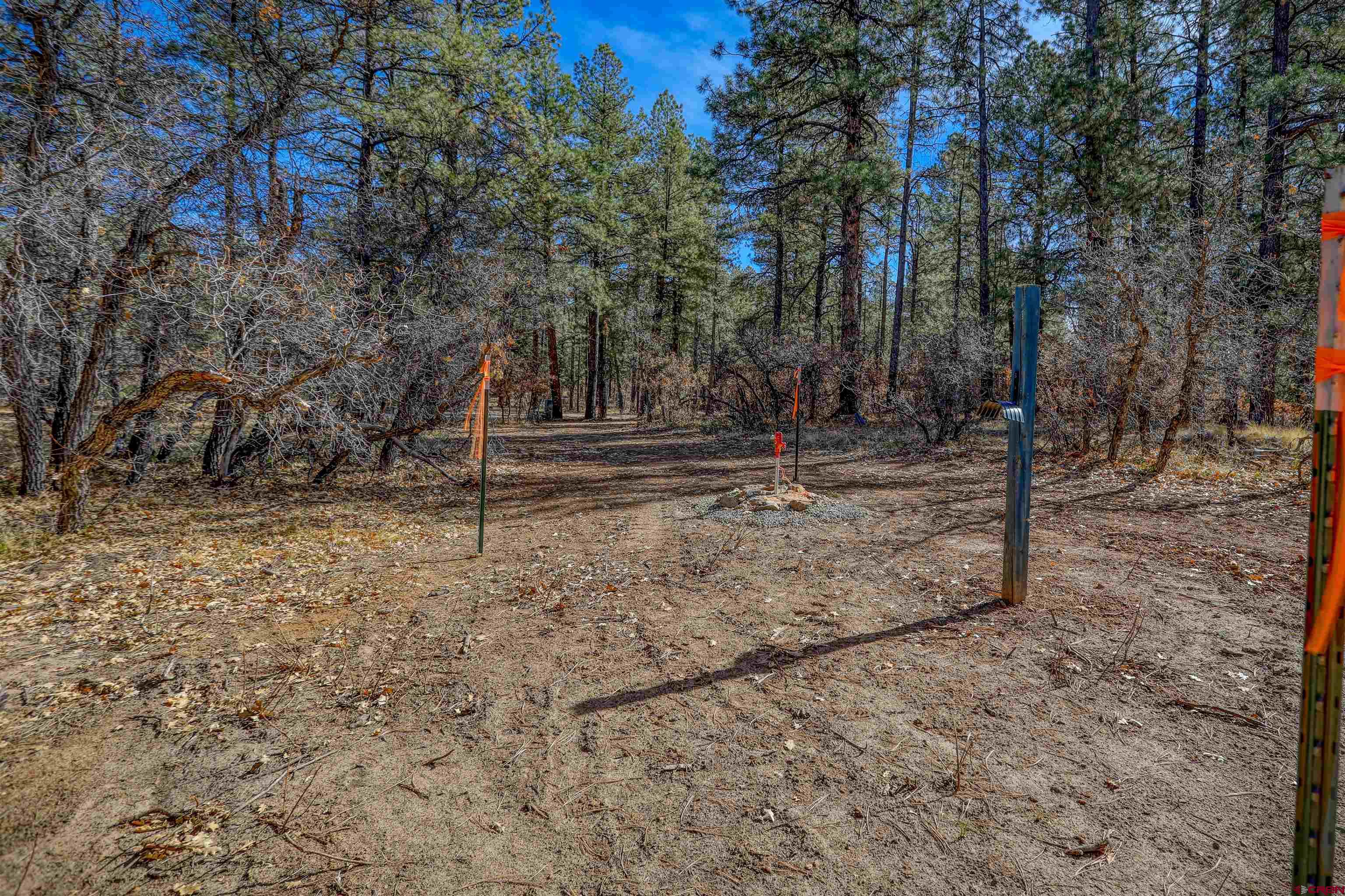 3700-A County Road 600 Lots 1&2, Pagosa Springs, CO 81147 Listing Photo  35