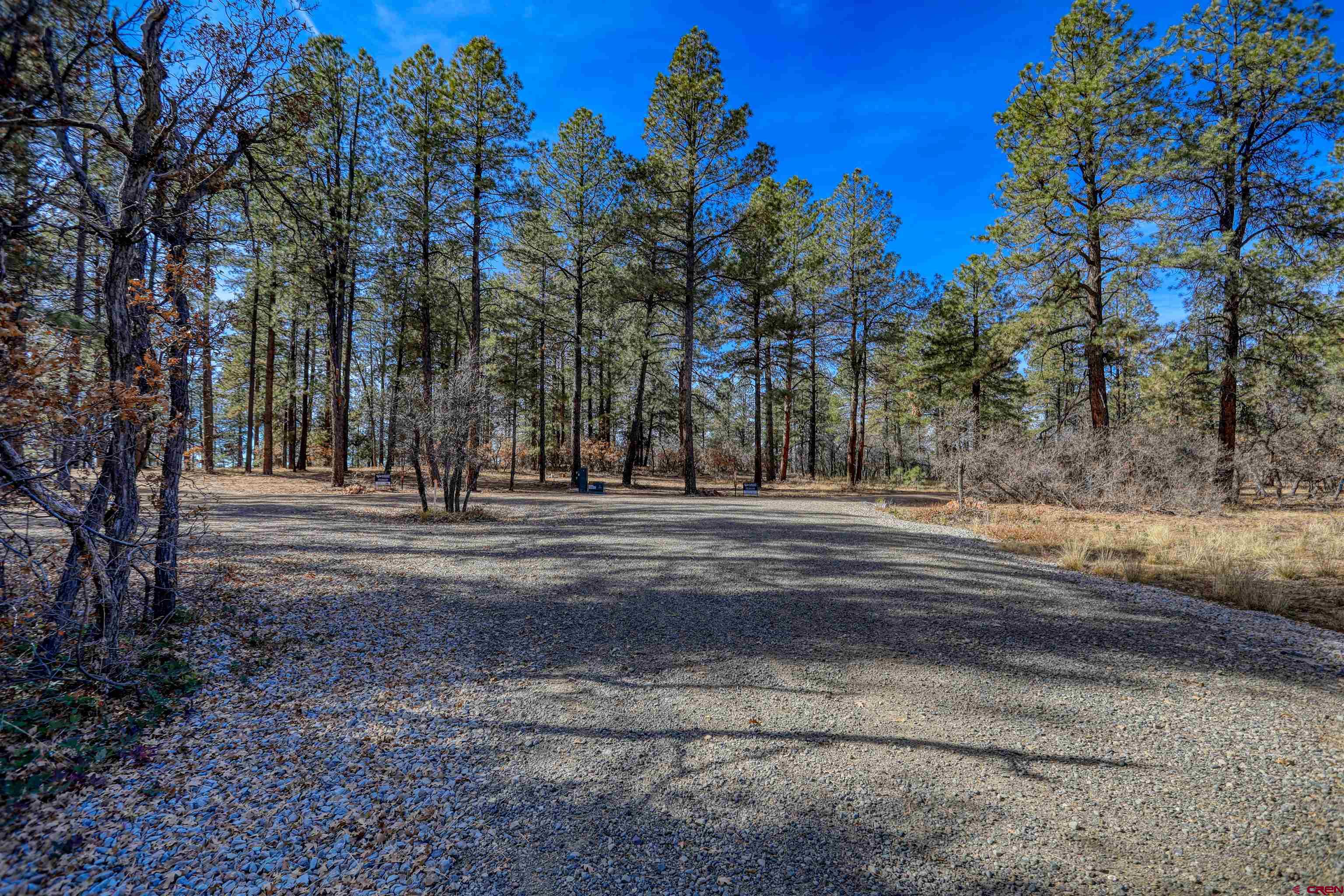 3700-A County Road 600 Lots 1&2, Pagosa Springs, CO 81147 Listing Photo  6