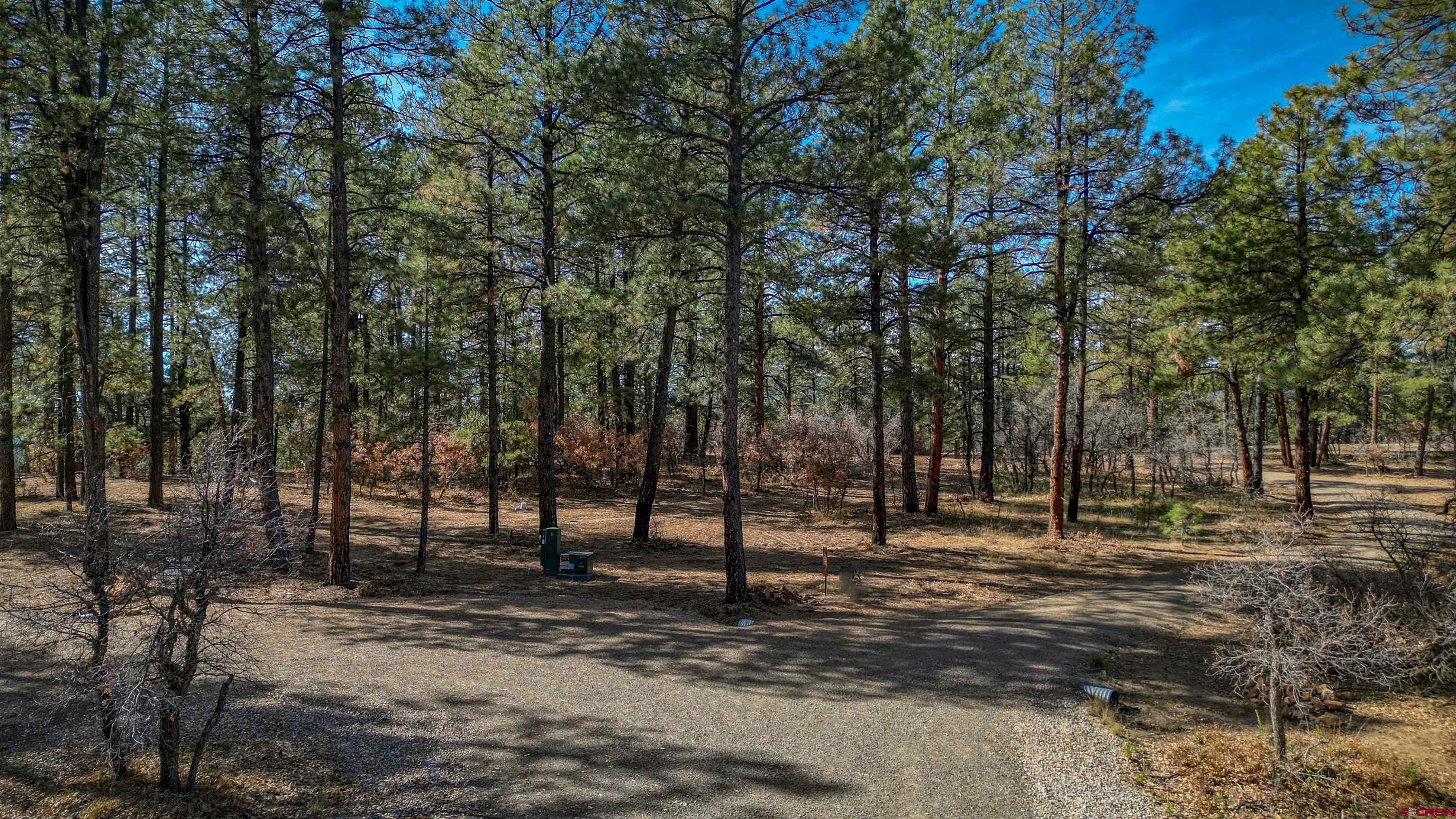 3700-A County Road 600 Lots 1&2, Pagosa Springs, CO 81147 Listing Photo  9