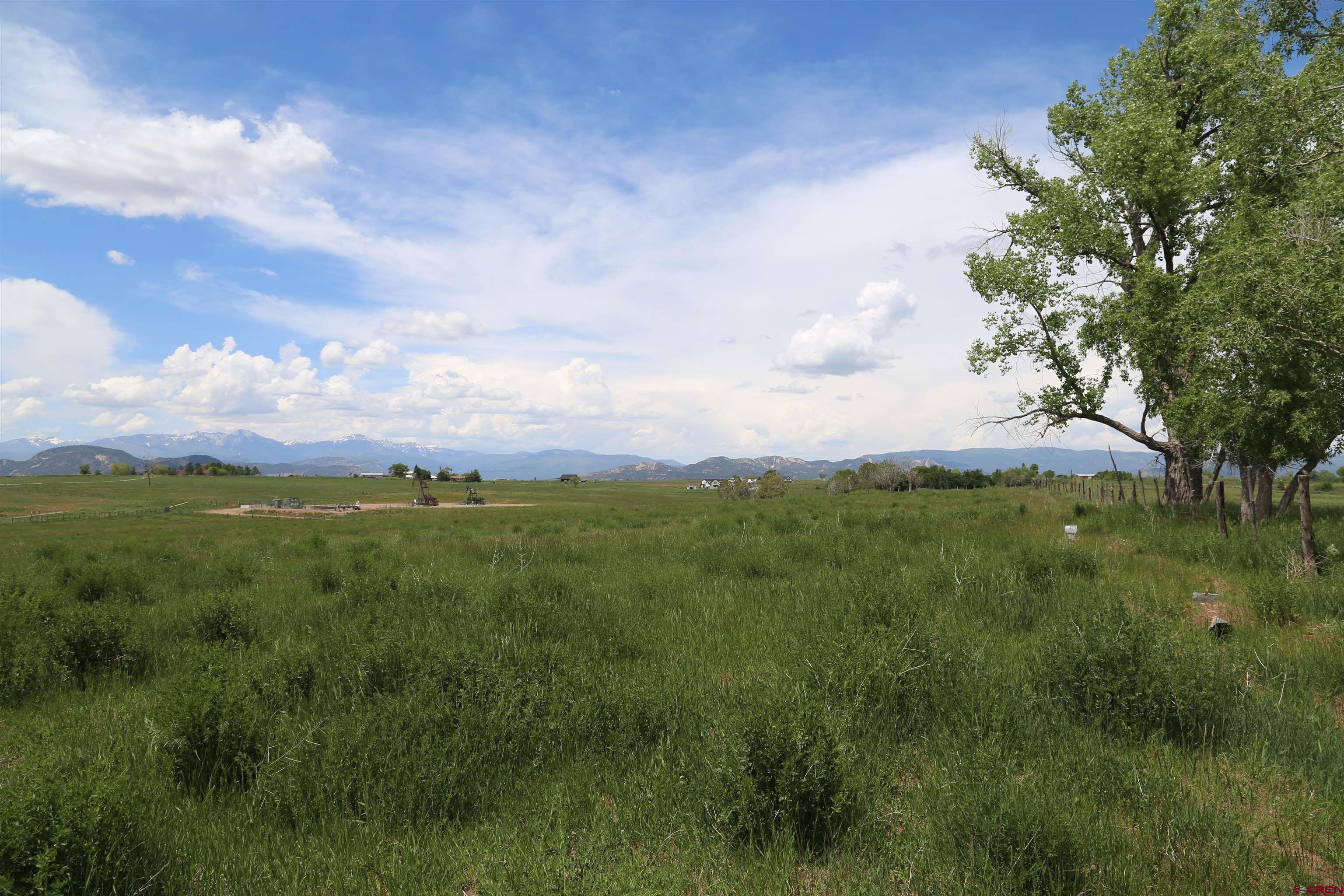 Photo of Tbd County Rd 301 in Durango, CO