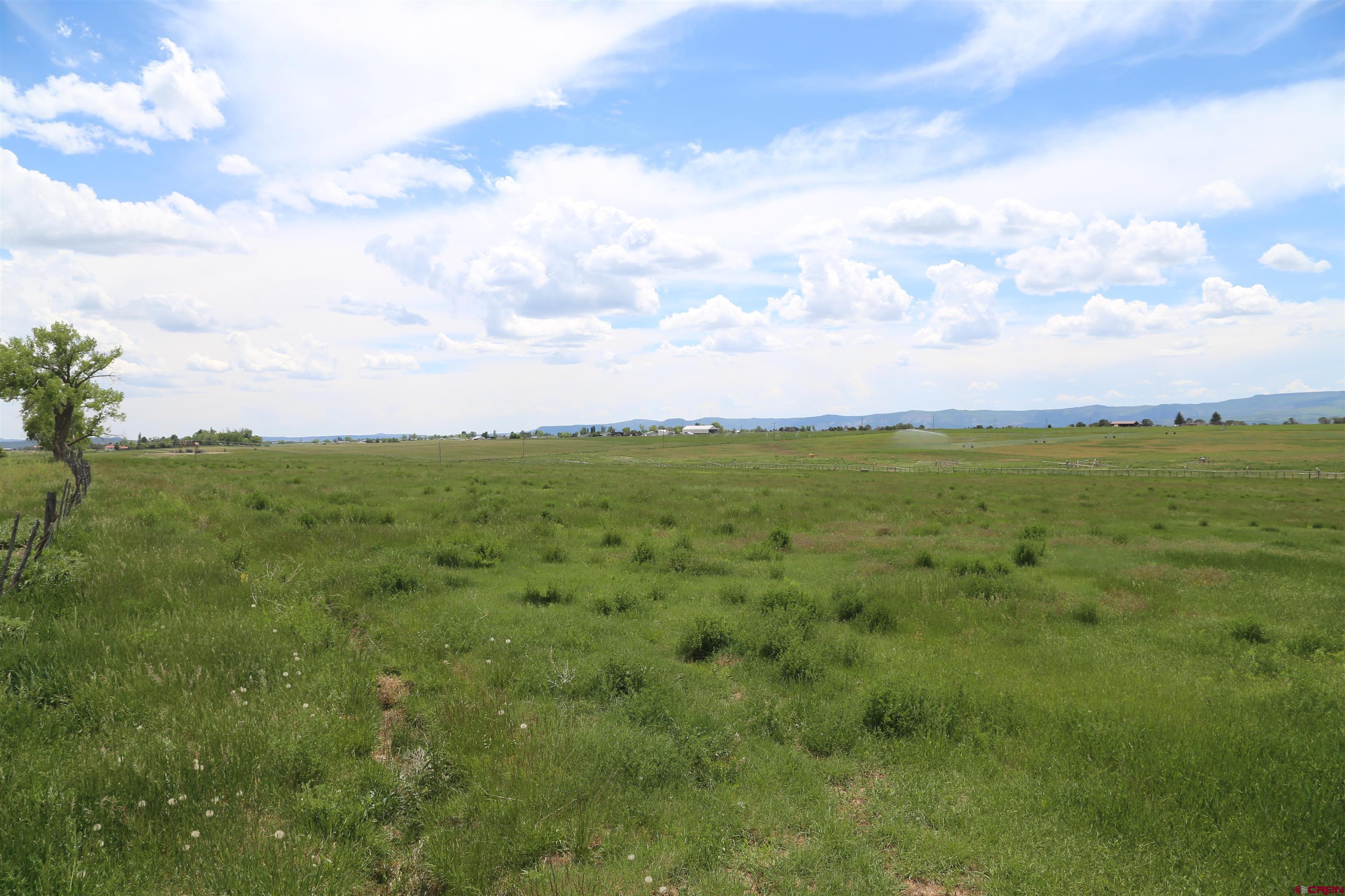 Photo of Tbd County Rd 303 in Durango, CO