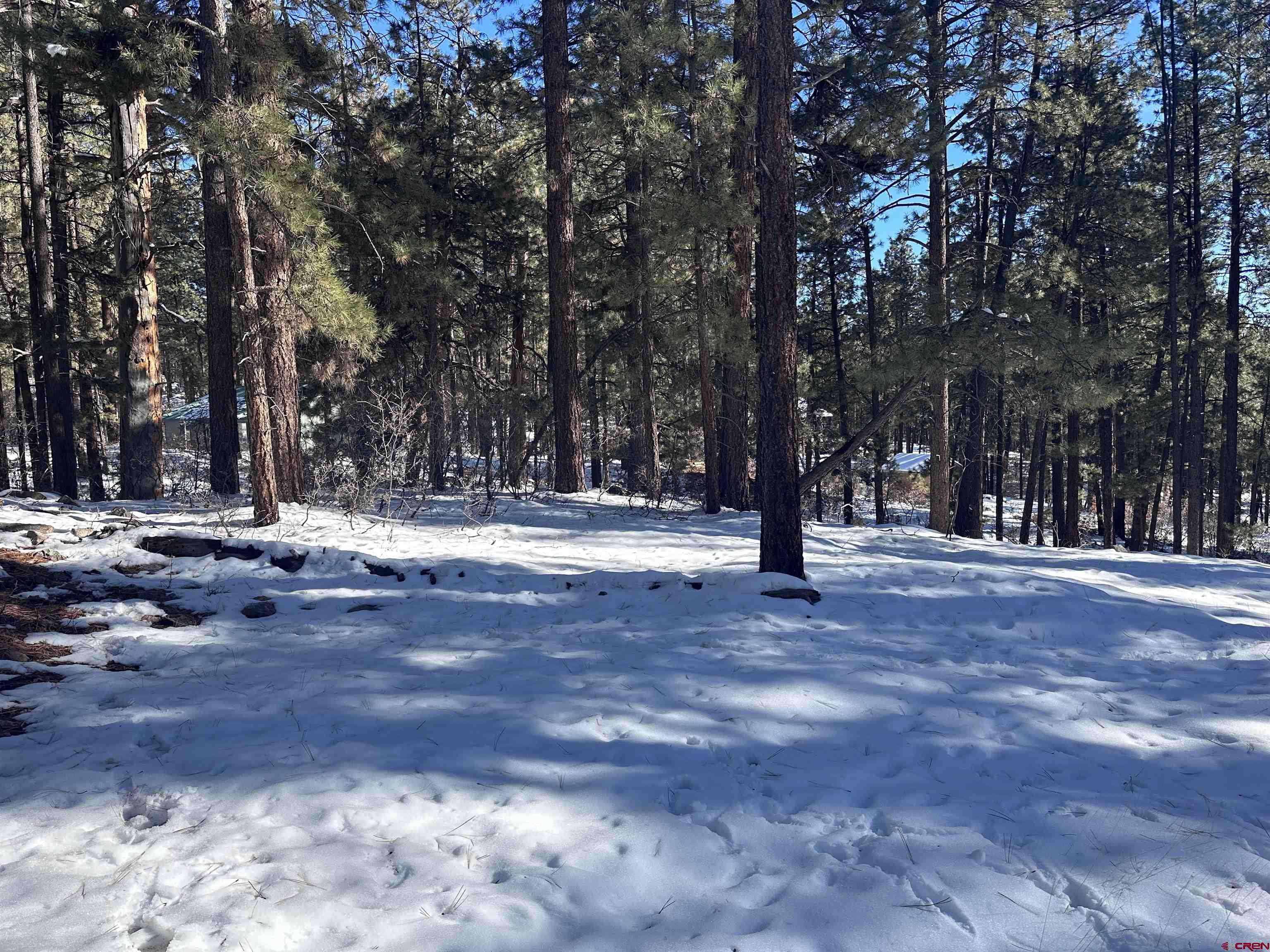 Photo of 1419 Deer Ridge Dr in Bayfield, CO