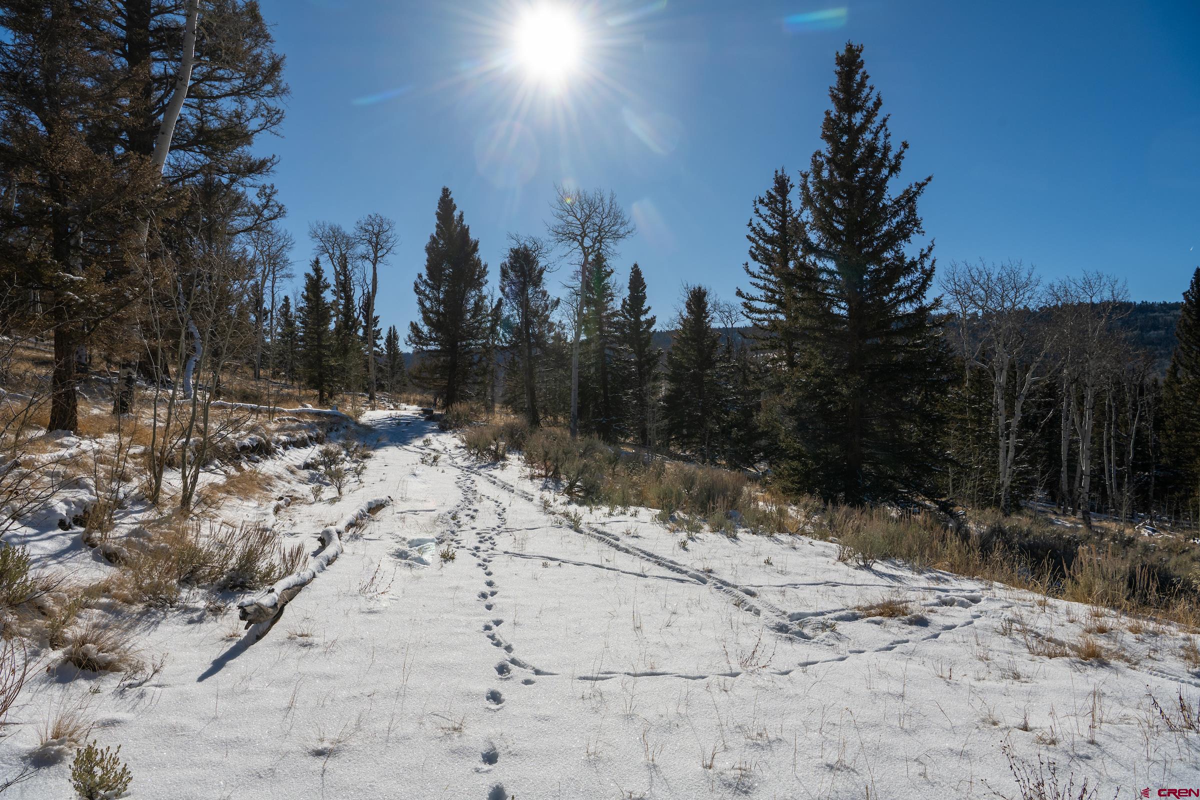 TBD Sandy Draw Road Powderhorn CO 81243 Pending