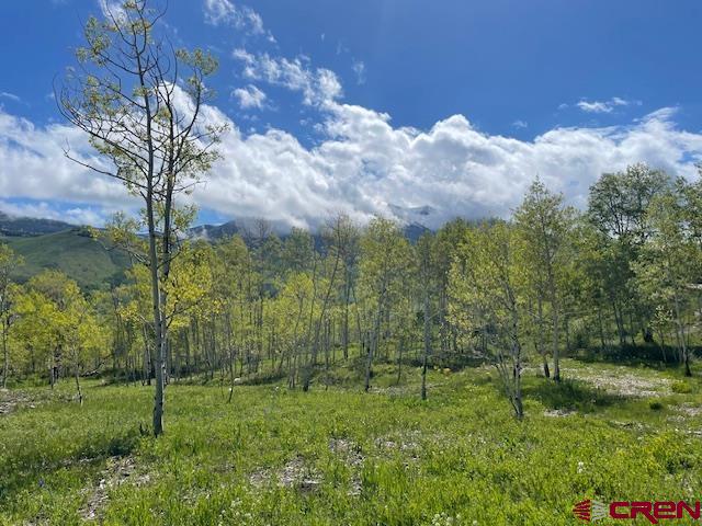 162 Gloria Place, Crested Butte, CO 81224 Listing Photo  24