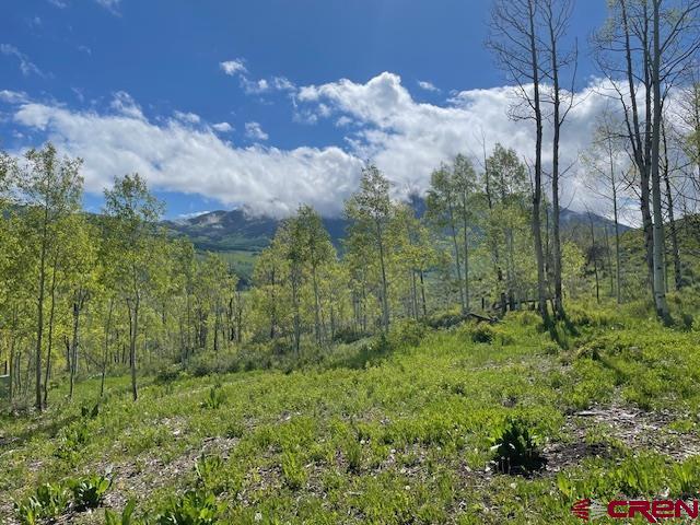162 Gloria Place, Crested Butte, CO 81224 Listing Photo  26