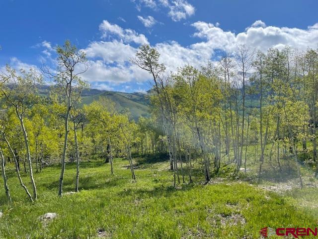 162 Gloria Place, Crested Butte, CO 81224 Listing Photo  27