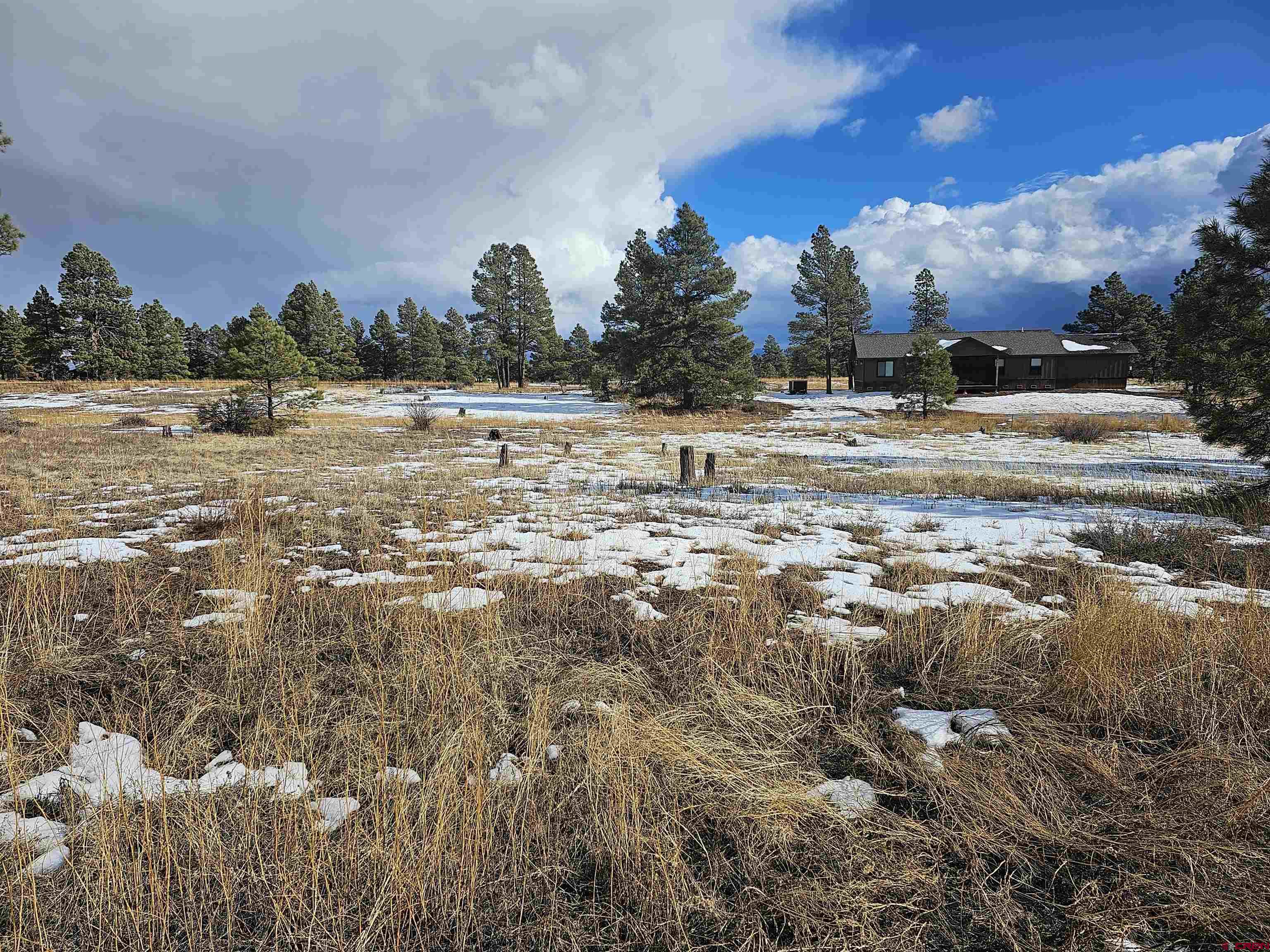 335 Domicile Circle, Pagosa Springs, CO 81147 Listing Photo  1