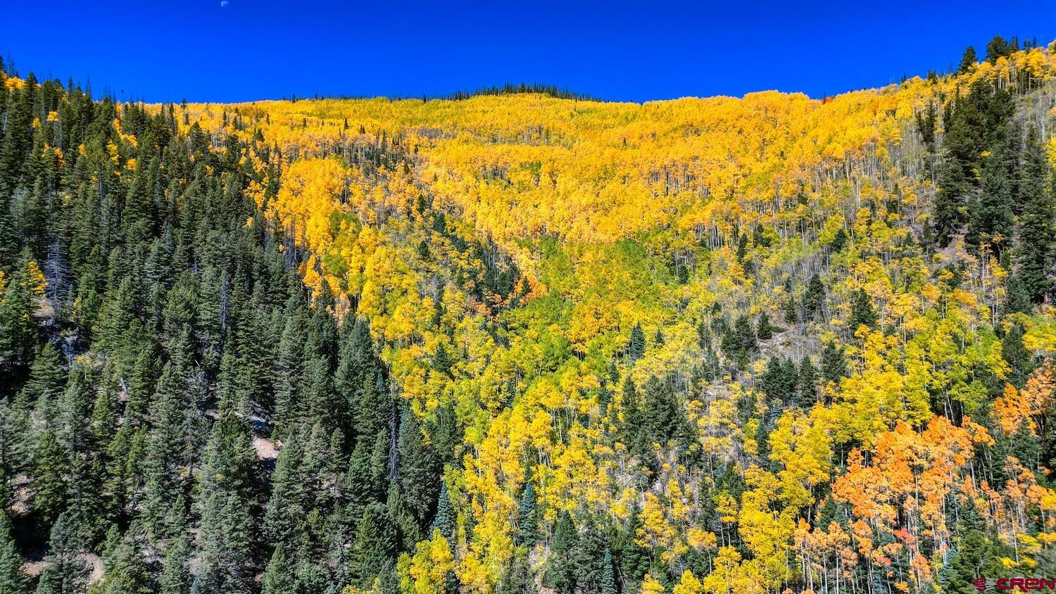 TBD Jasper Creek Jasper CO 81132 Active