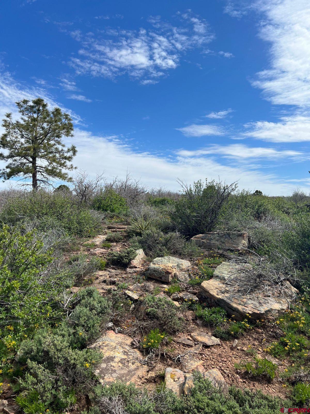 Photo of Lot 30 County Rd C-3 in Dove Creek, CO