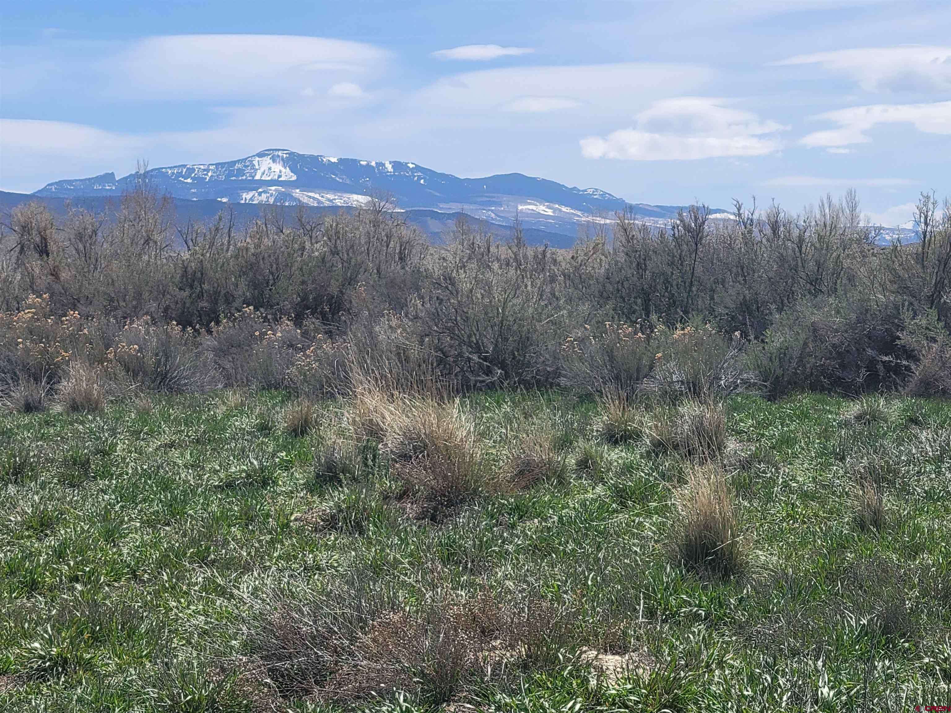 Key Road Cinemascraigslist Montrose Co Rentals - h8g9xq0