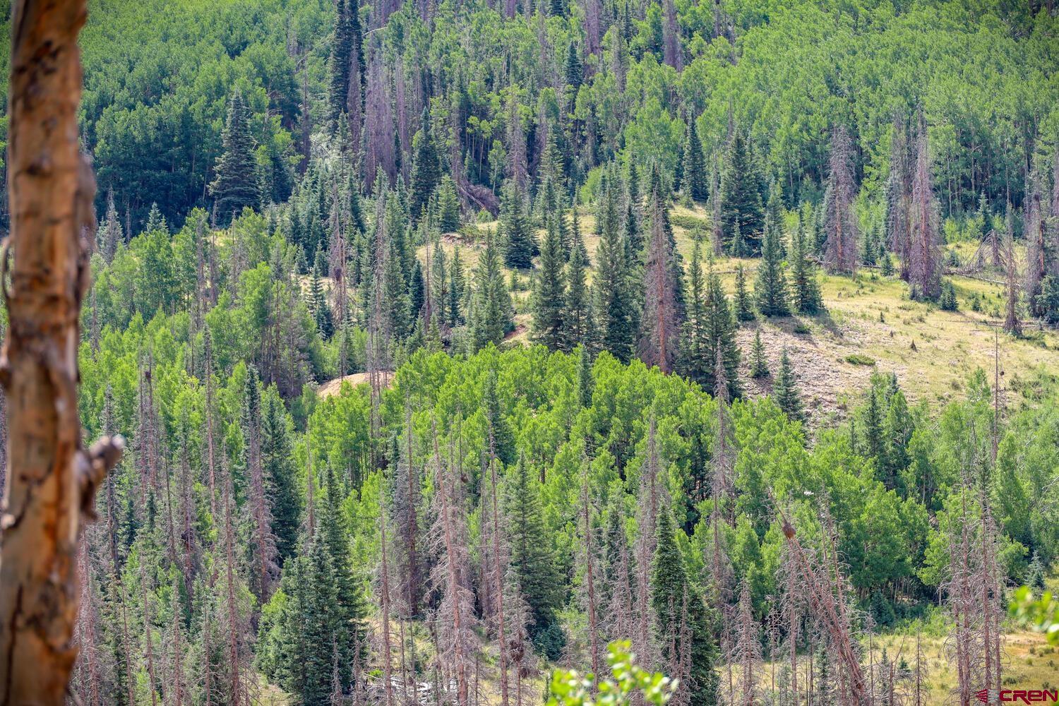 XXX FSR 250 & Alamosa River Platoro CO 81120 Active