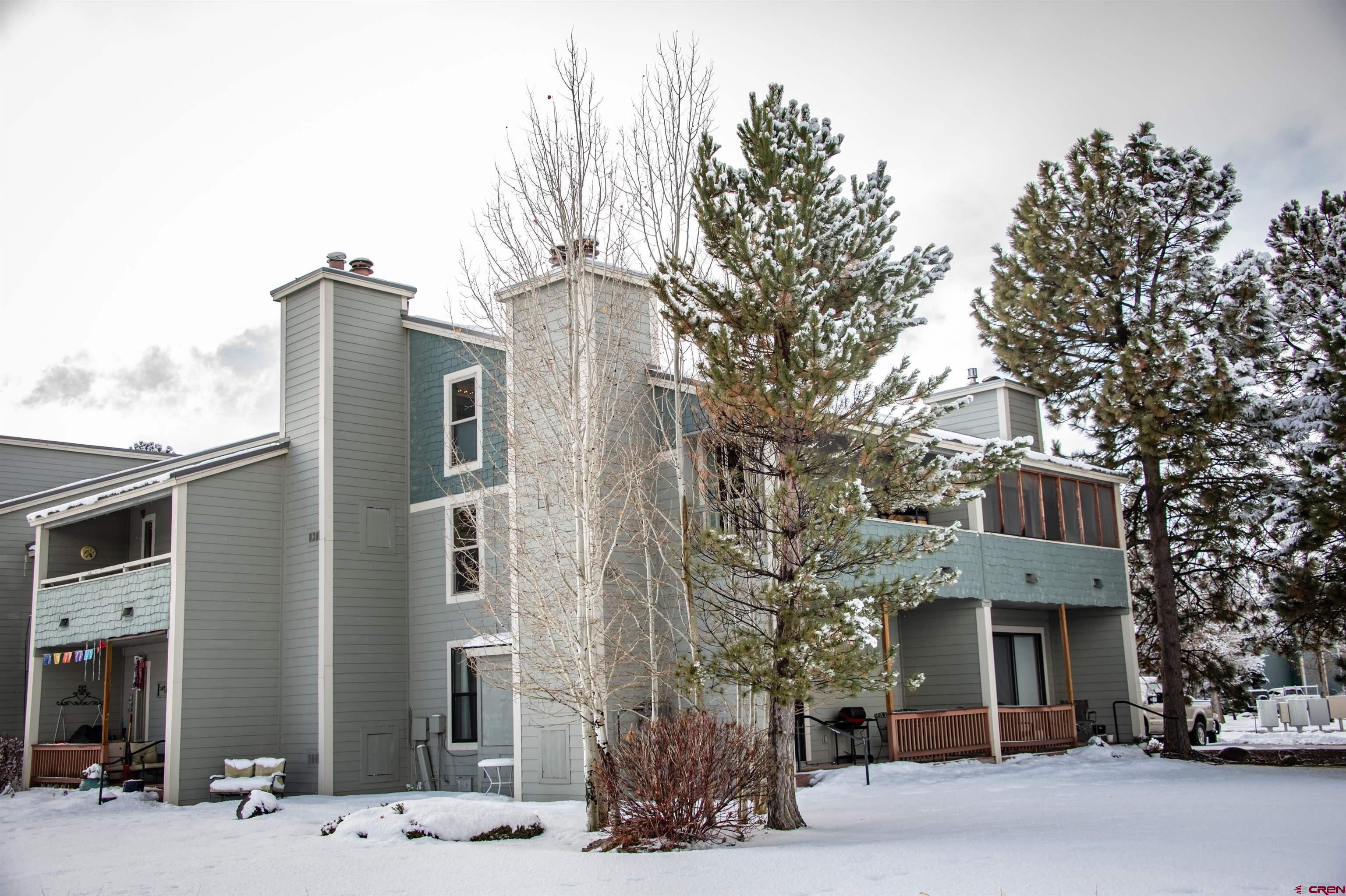 37 Valley View Drive, #3138, Pagosa Springs, CO 81147 Listing Photo  1