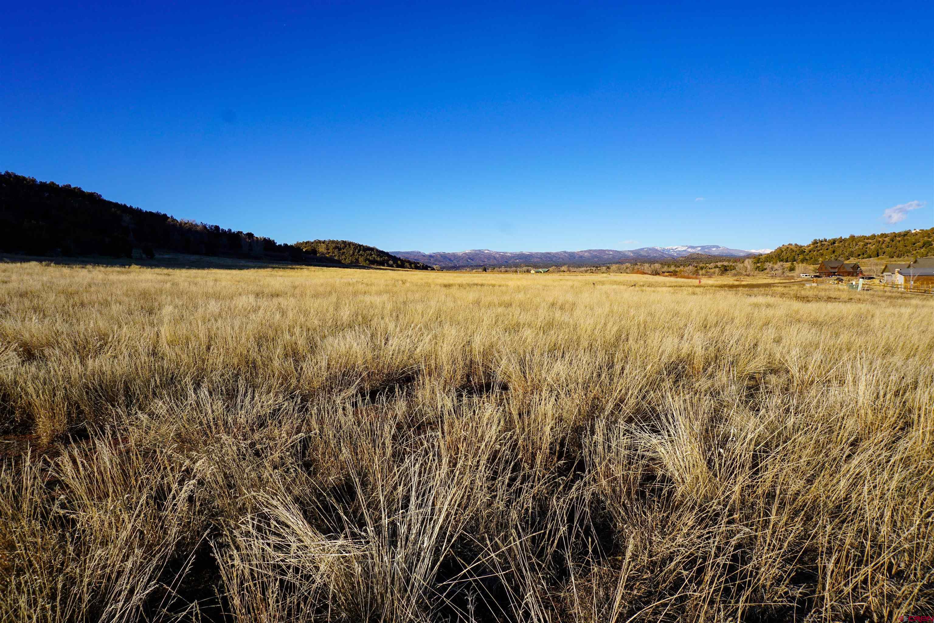 321 Cowboy Trail Durango CO 81303 Active