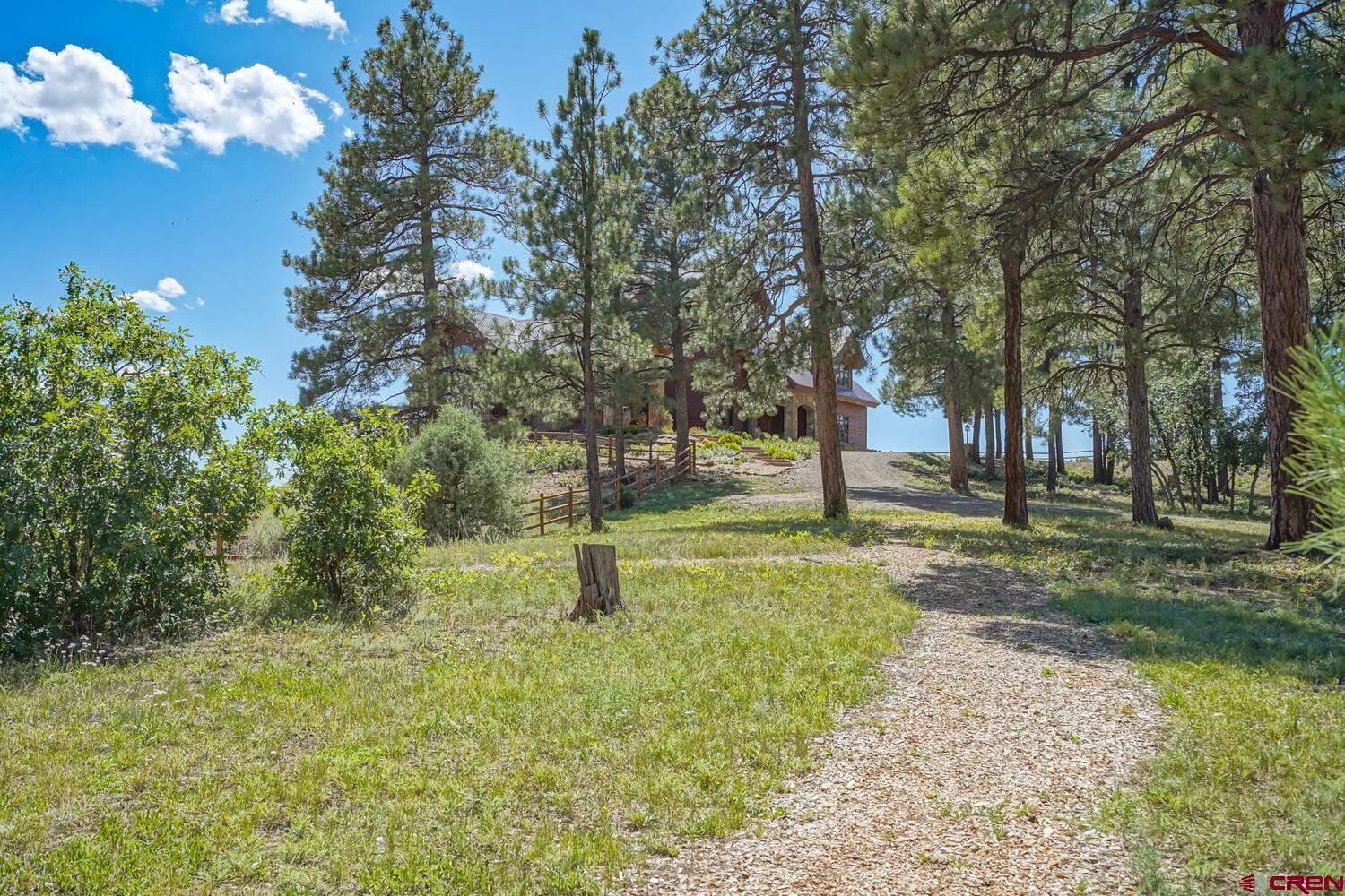 100 & 100A Buckboard Place, Pagosa Springs, CO 81147 Listing Photo  9