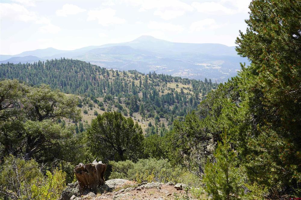 3792 Bear Creek Cir. South Fork CO Real Estate