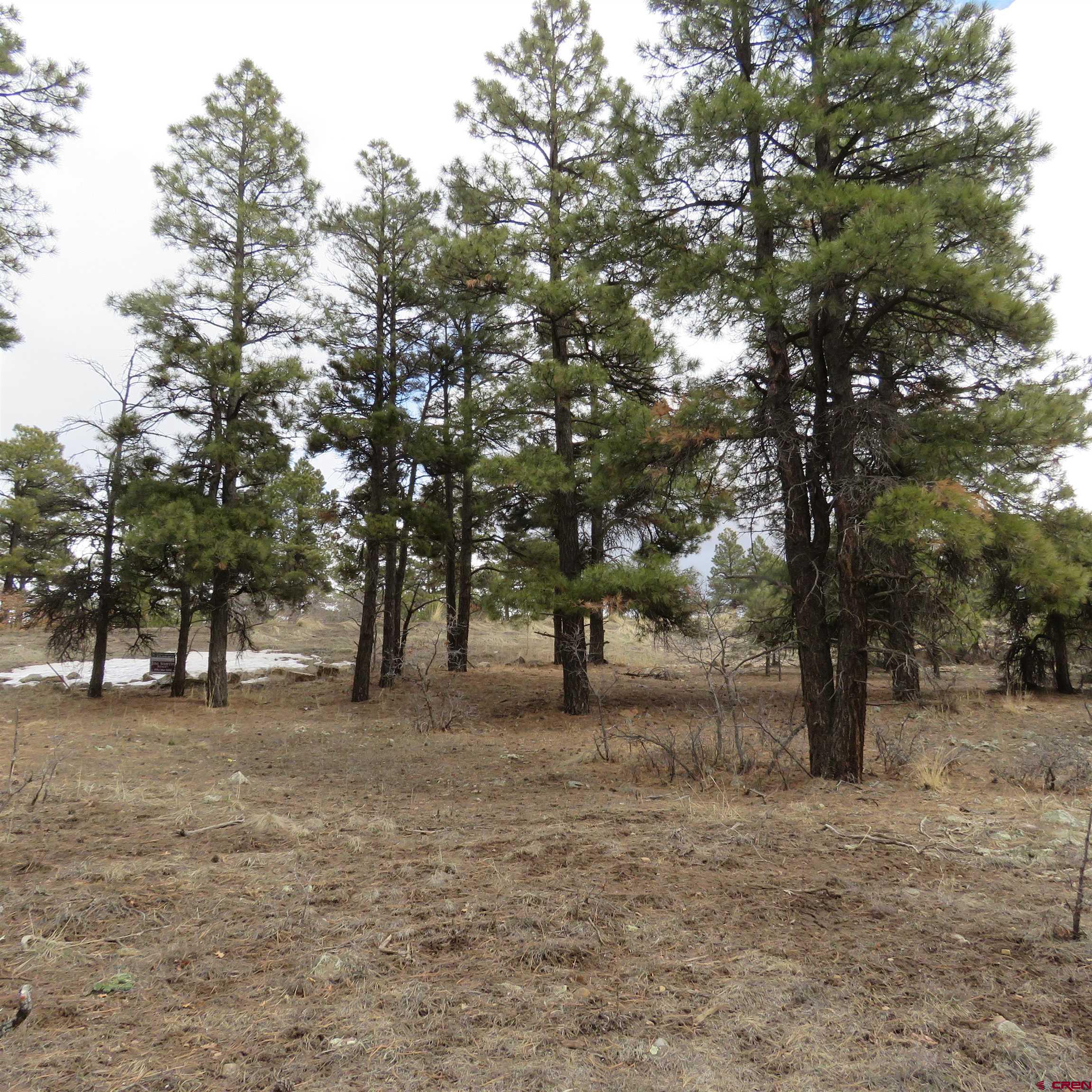 1084 County Rd 600, Pagosa Springs, CO 81147 Listing Photo  1