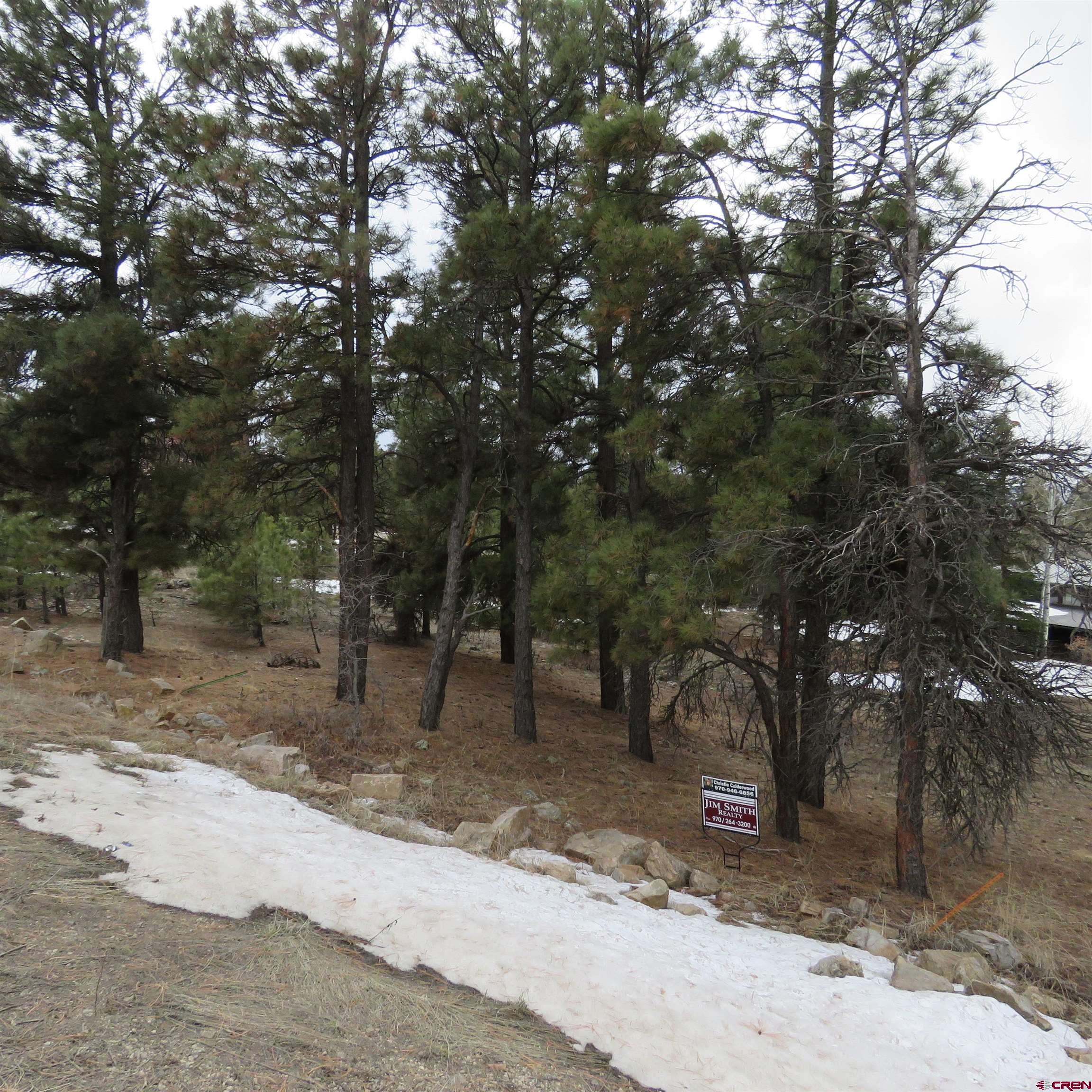 1084 County Rd 600, Pagosa Springs, CO 81147 Listing Photo  4