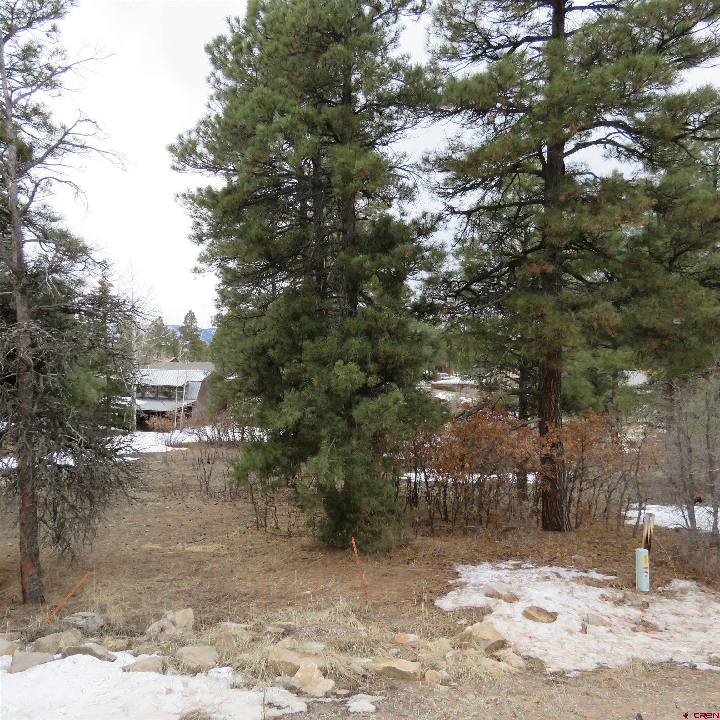1084 County Rd 600, Pagosa Springs, CO 81147 Listing Photo  5