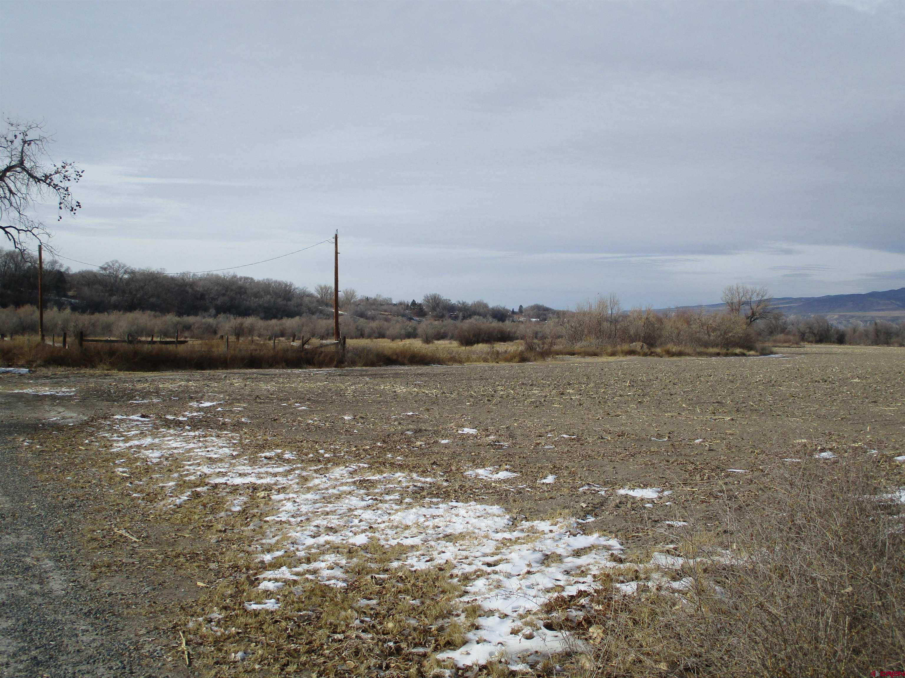 Level, river bottom ground with good irrigation water.  Property has been in corn, alfalfa and grass pasture.  Uncompahgre River flows through the property so there is also sub irrigated river bottom.