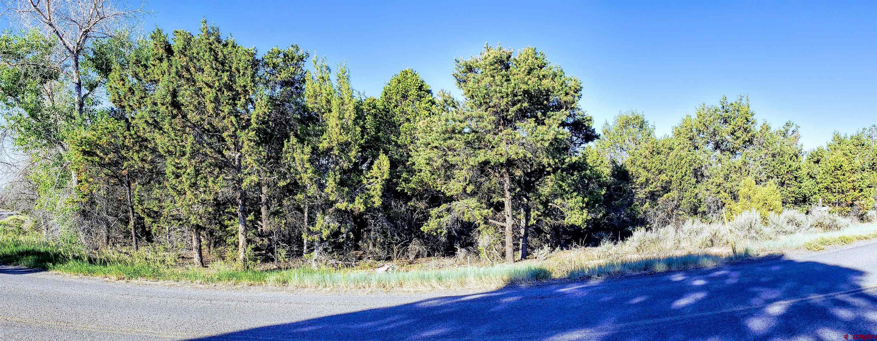 Desirable 34+ acres located above Cedaredge with Top of the World Panoramic views. This lot would be an ideal place to build a custom home with utilities very near. The topography is gently sloped but enough to build a walk-out basement. The property is mostly wooded with pinion pine and cedar trees. Giant Mule deer and turkeys grace the property often. Views of the Grand Mesa are indeed Grand and those also extend past the fertile valley to the San Juan Mountains, Black Canyon of the Gunnison, and the Uncompahgre  Plateau. This would also make a good getaway property to camp or build a cabin on and enjoy the peace and solitude this land could offer. Paved NO-OUTLET county road provides easy access with minimal traffic. 7+/- Elevation and less then 10 minutes to Cedaredge. Convenient National forest access and access to world class recreation in any direction! NO HOA or Covenants.