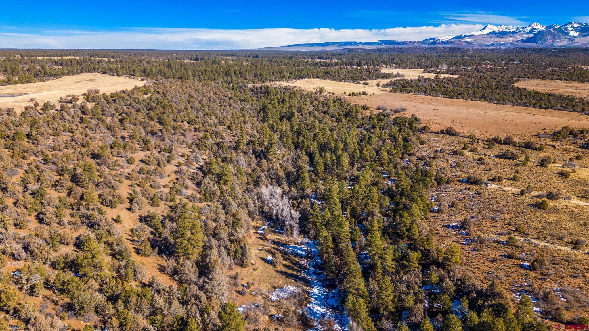 12695 Road 40