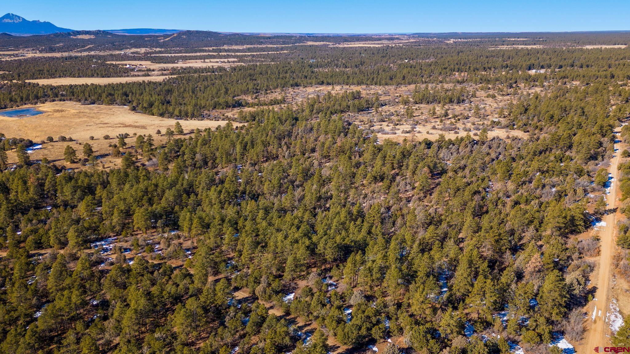 12695 Road 40