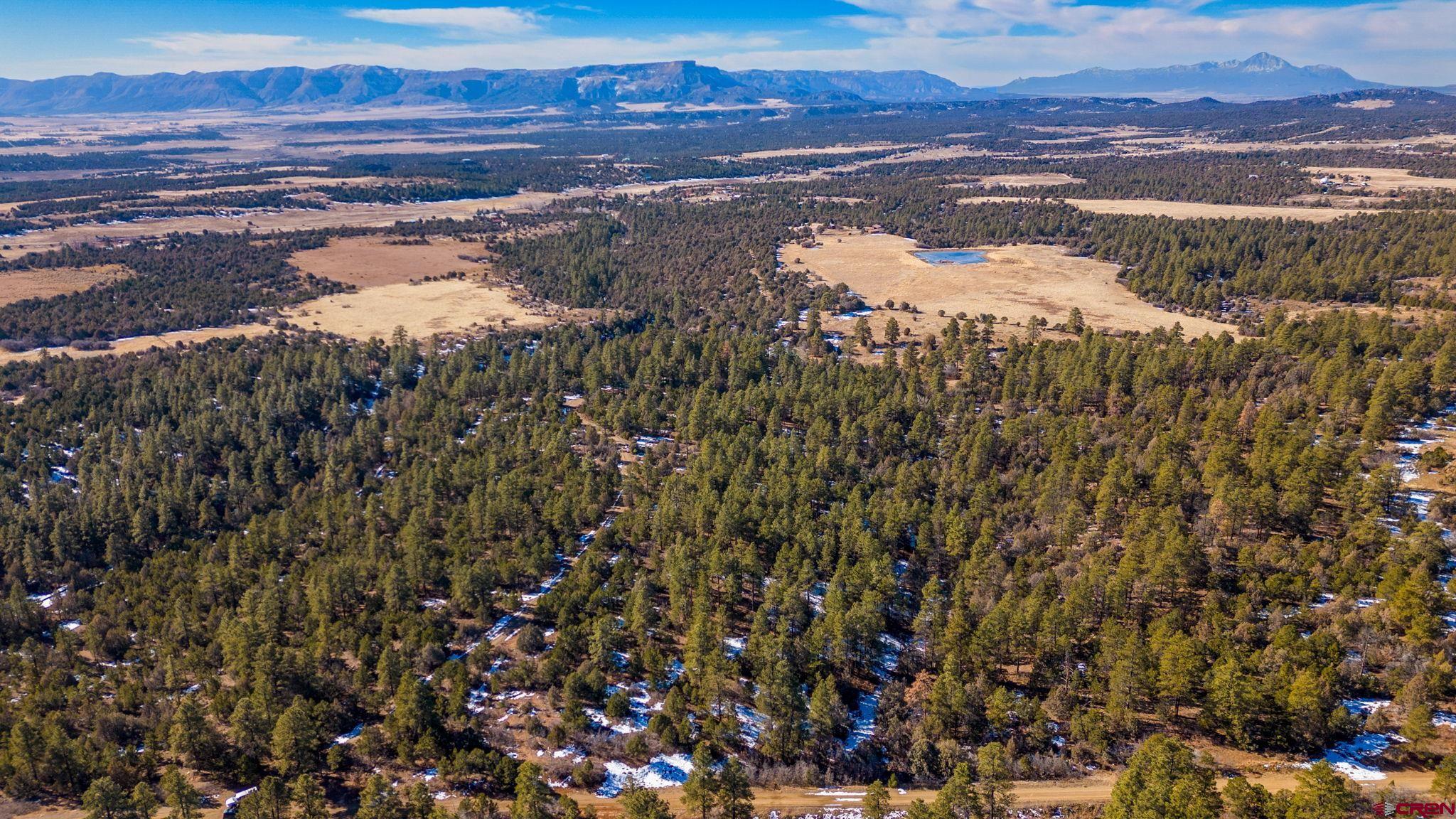 12695 Road 40