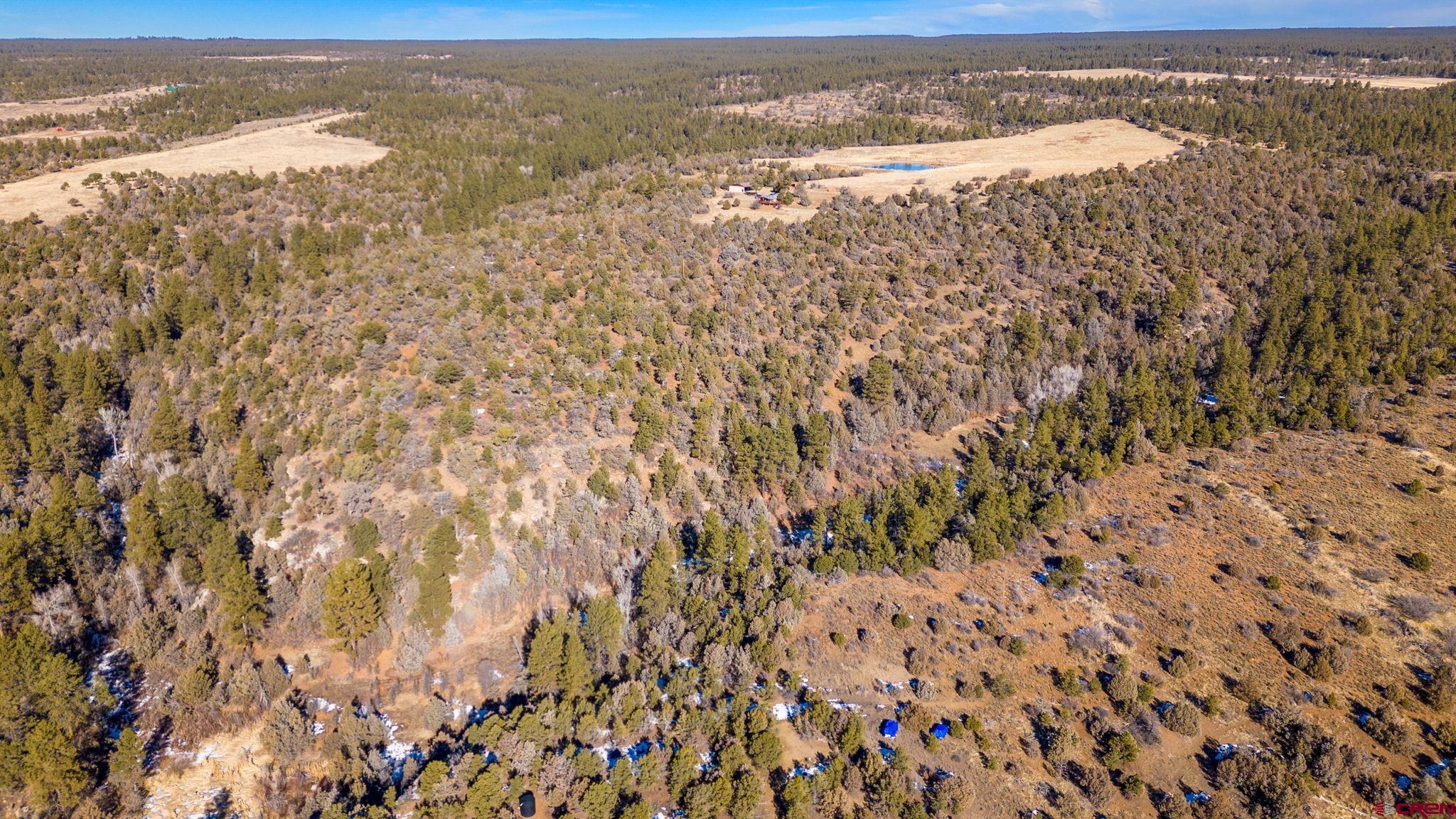 12695 Road 40