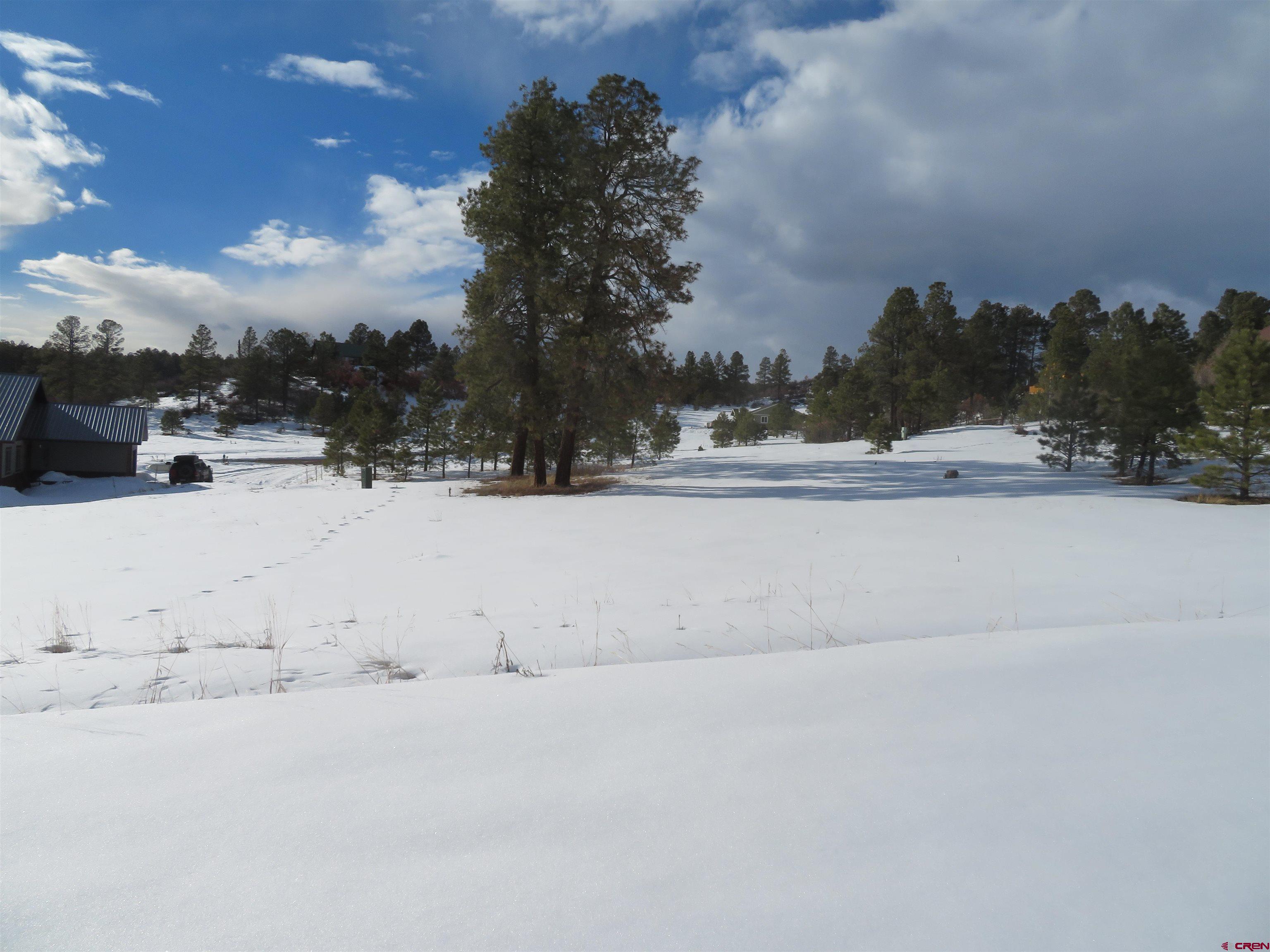 39 S Pinescent Court, Pagosa Springs, CO 81147