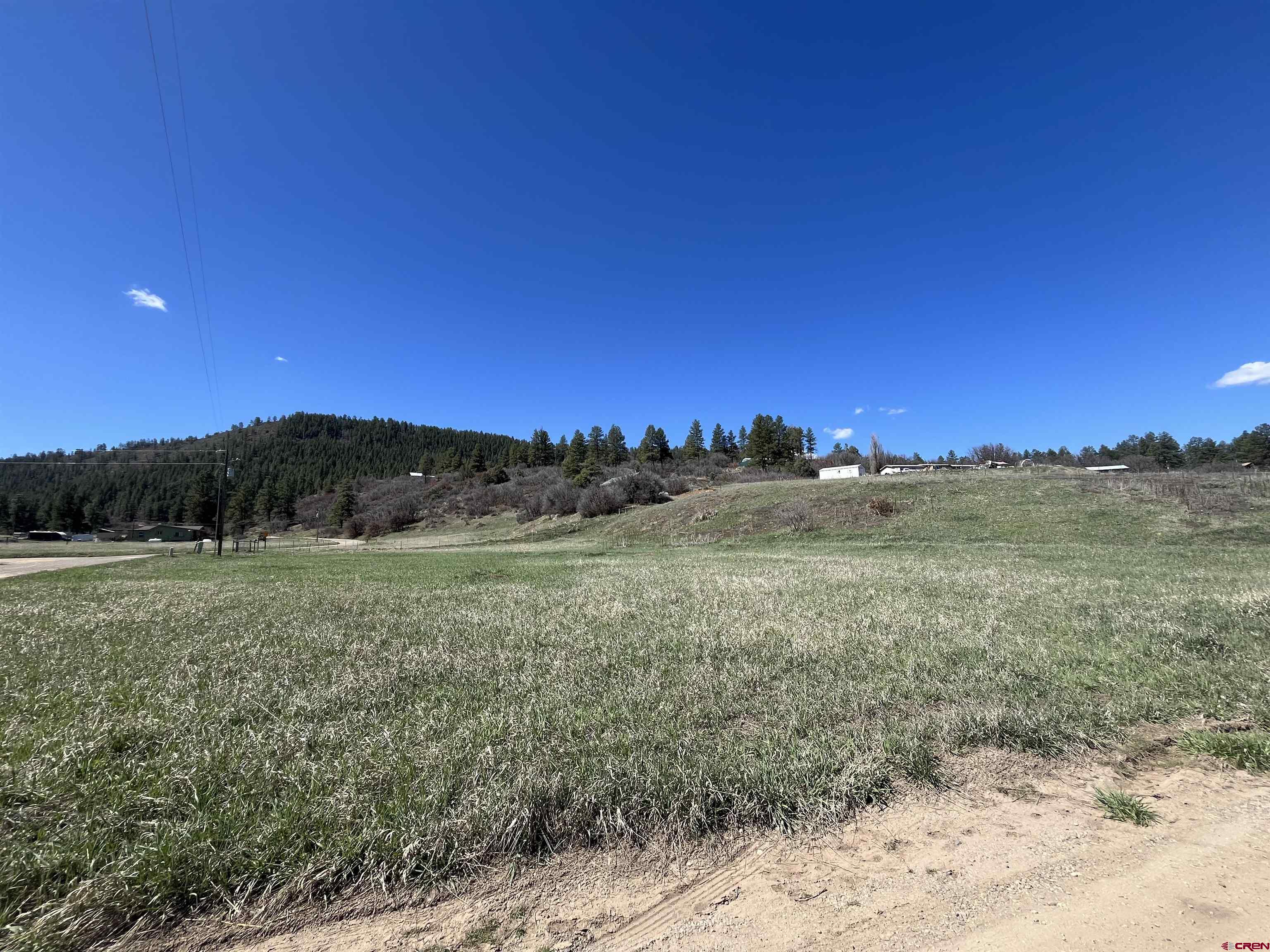 465 Indian Land Road, Pagosa Springs, CO 81147 Listing Photo  4