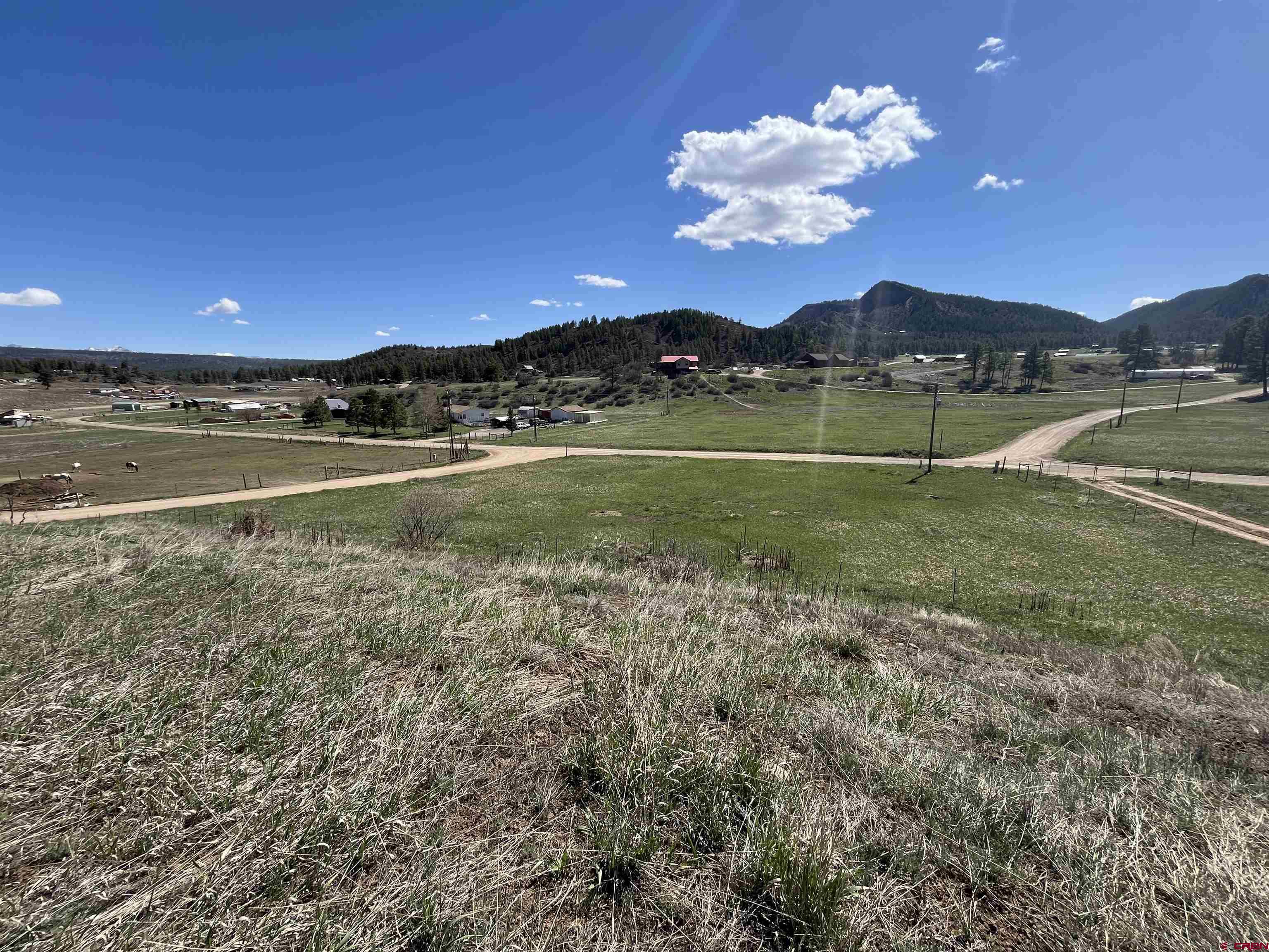 465 Indian Land Road, Pagosa Springs, CO 81147 Listing Photo  7