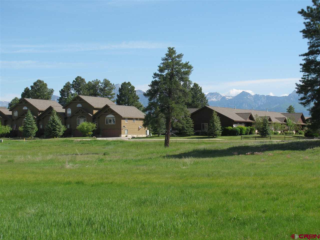 41 Greenbrier Drive, Pagosa Springs, CO 81147 Listing Photo  3