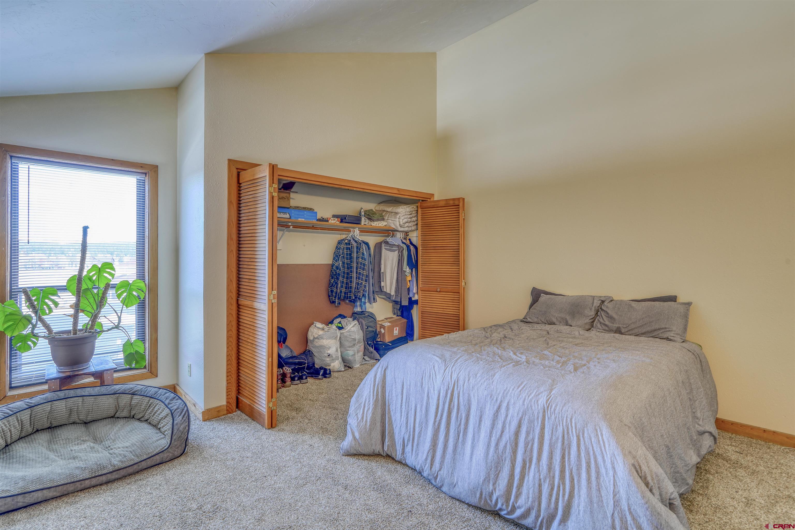 89 Valley View Drive, #3197, Pagosa Springs, CO 81147 Listing Photo  18