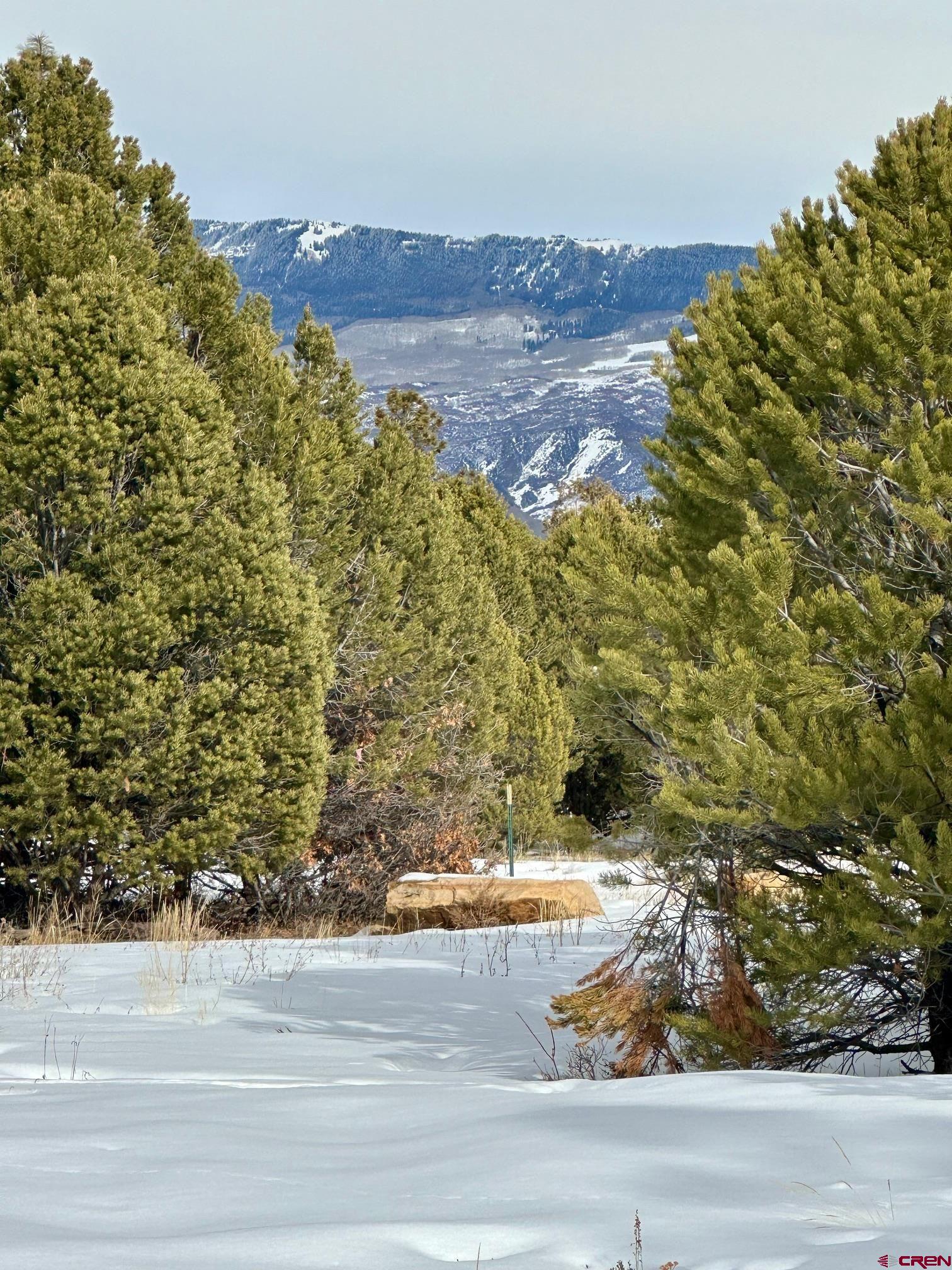.919 acre lot sitting at the end of the road in the beautiful Fairway Pines Subd. Build your home here and enjoy the location and all the activities that surround it. You are right next to the San Juan Mountains and Ridgway reservoir for hiking, fishing and recreation. Telluride and Montrose are also nearby. The lot includes a paid water tap, and there is gas/power right to the lot line. The lot also includes the Fairway Pines Architectual committee approved plans for your potential home. The lot has mature Ponderosa and Pinyon Pine trees for privacy and wildlife. Don't miss out on this great lot!
