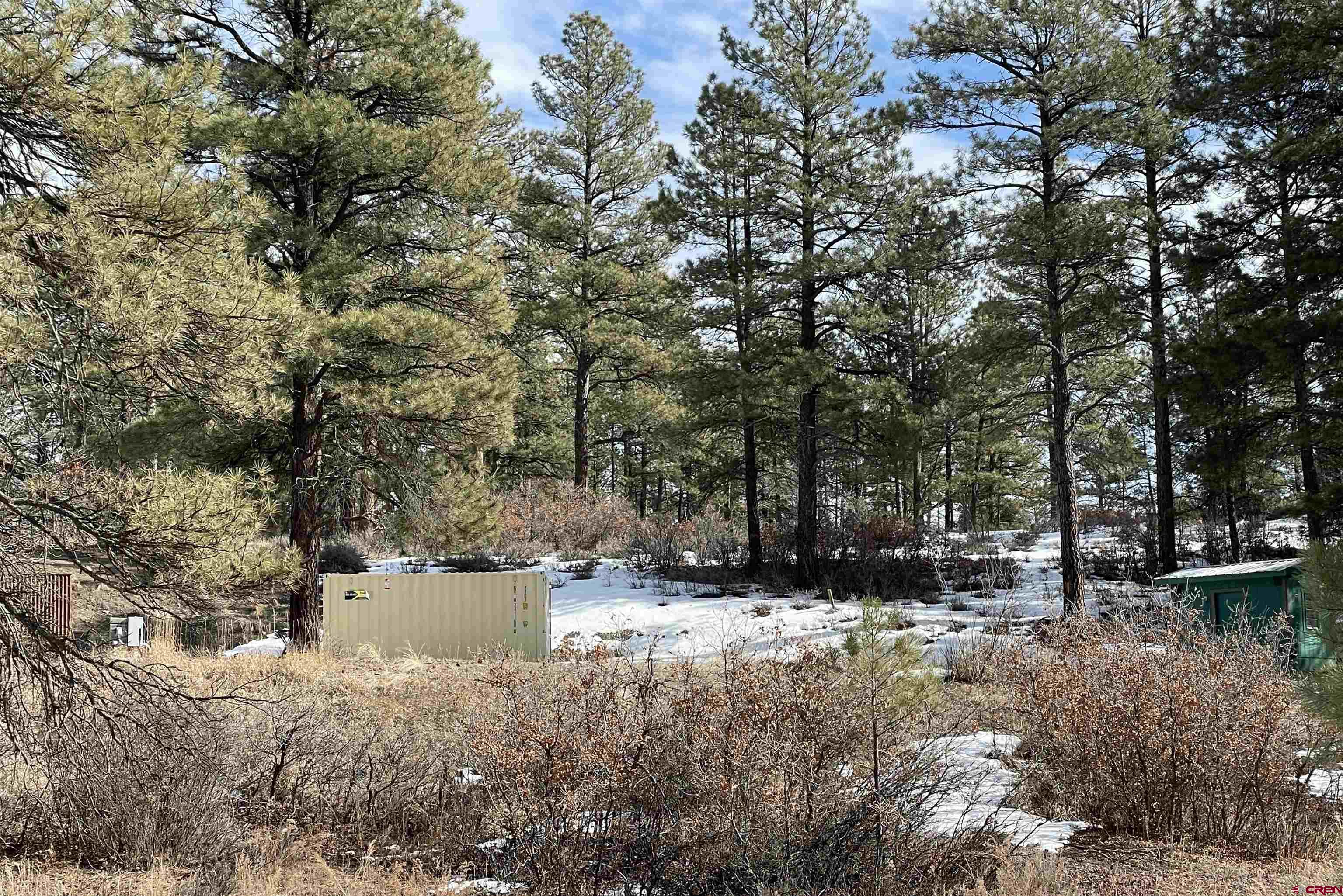 201 Spruce Circle, Pagosa Springs, CO 81147 Listing Photo  1