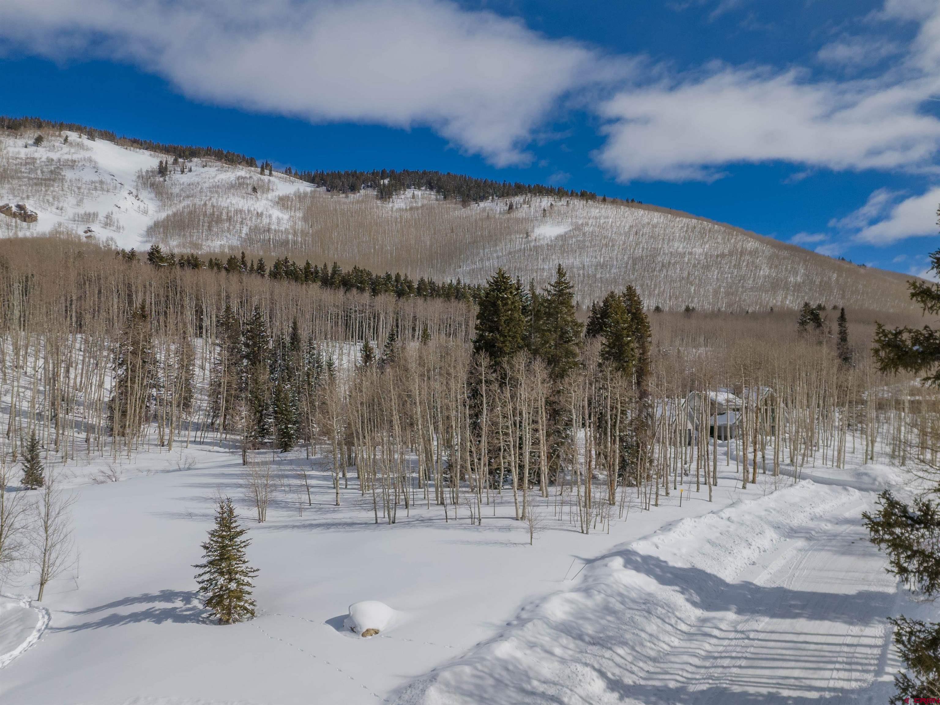 656 Meadow Lane, Crested Butte, CO 