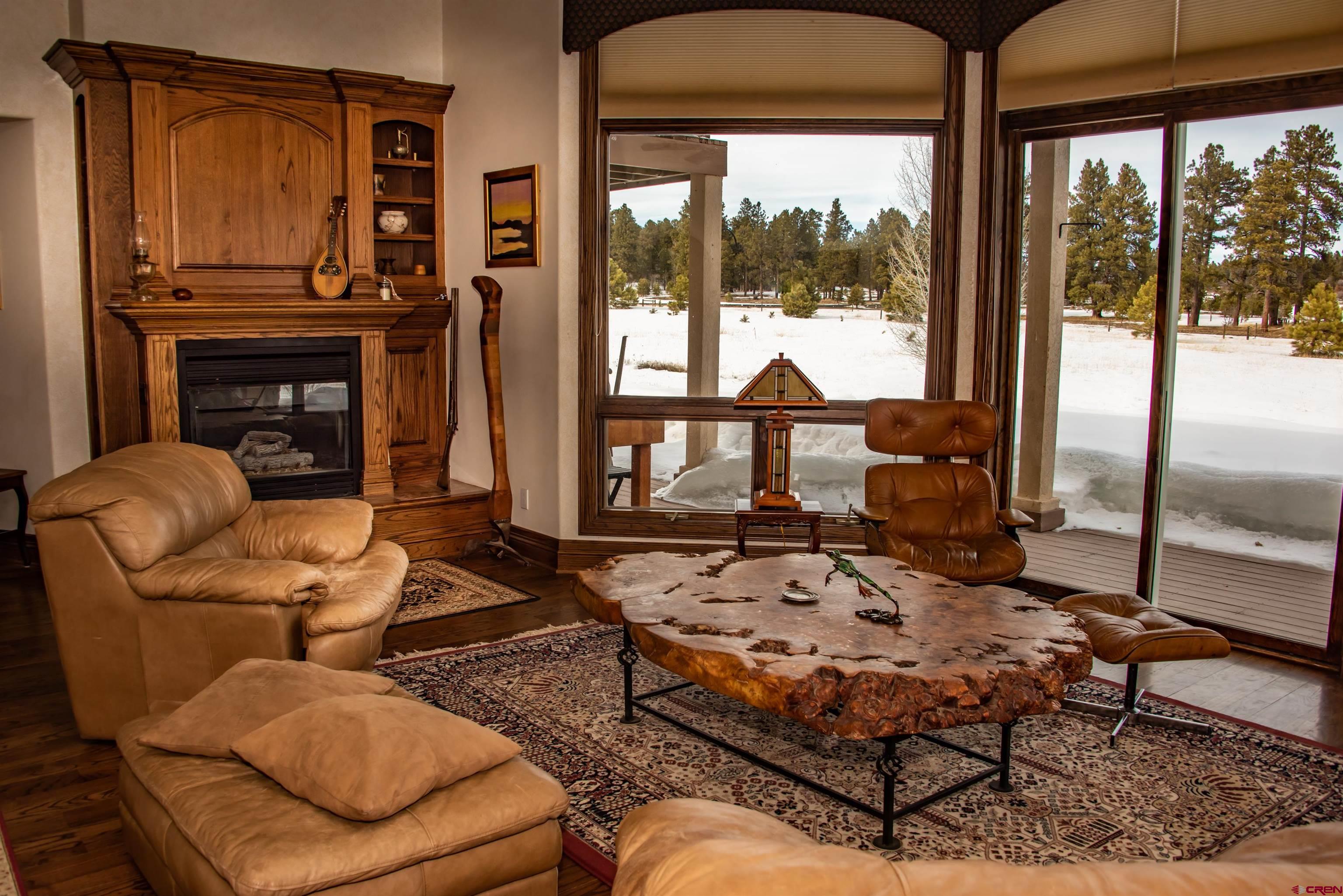 53 Fremont Court, Pagosa Springs, CO 81147 Listing Photo  8