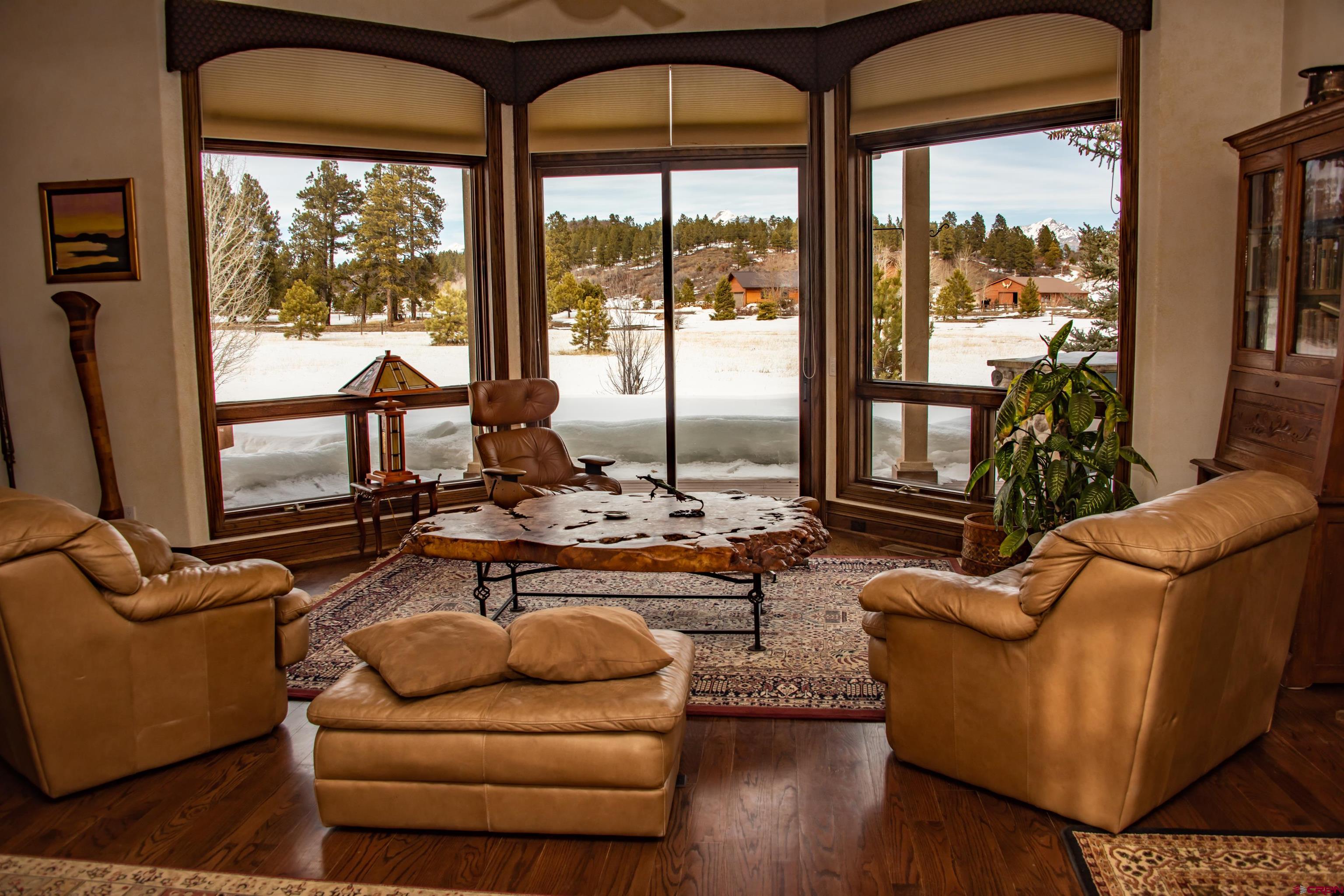 53 Fremont Court, Pagosa Springs, CO 81147 Listing Photo  9