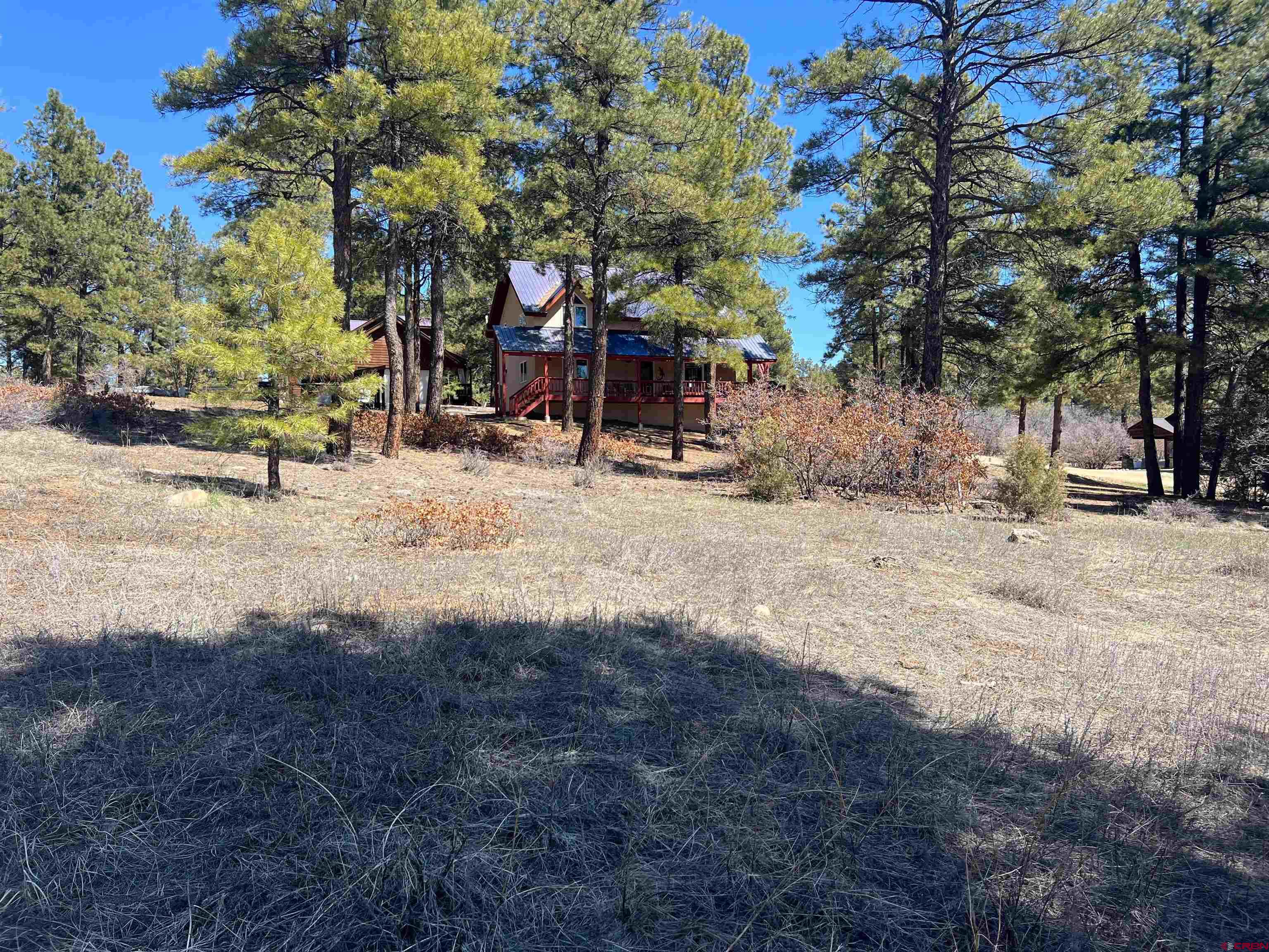 533 Dutton Drive, Pagosa Springs, CO 81147 Listing Photo  11