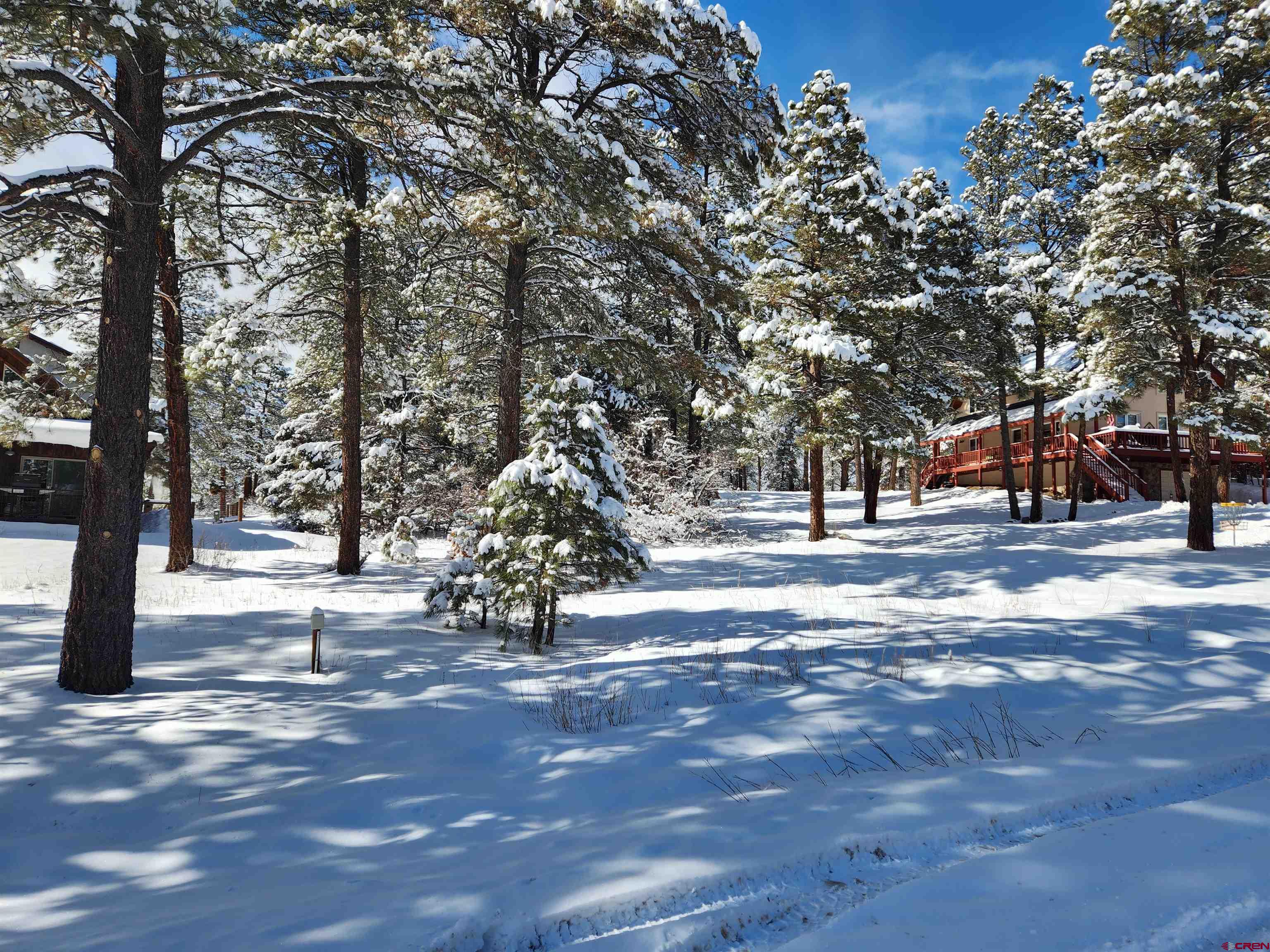 533 Dutton Drive, Pagosa Springs, CO 81147 Listing Photo  13