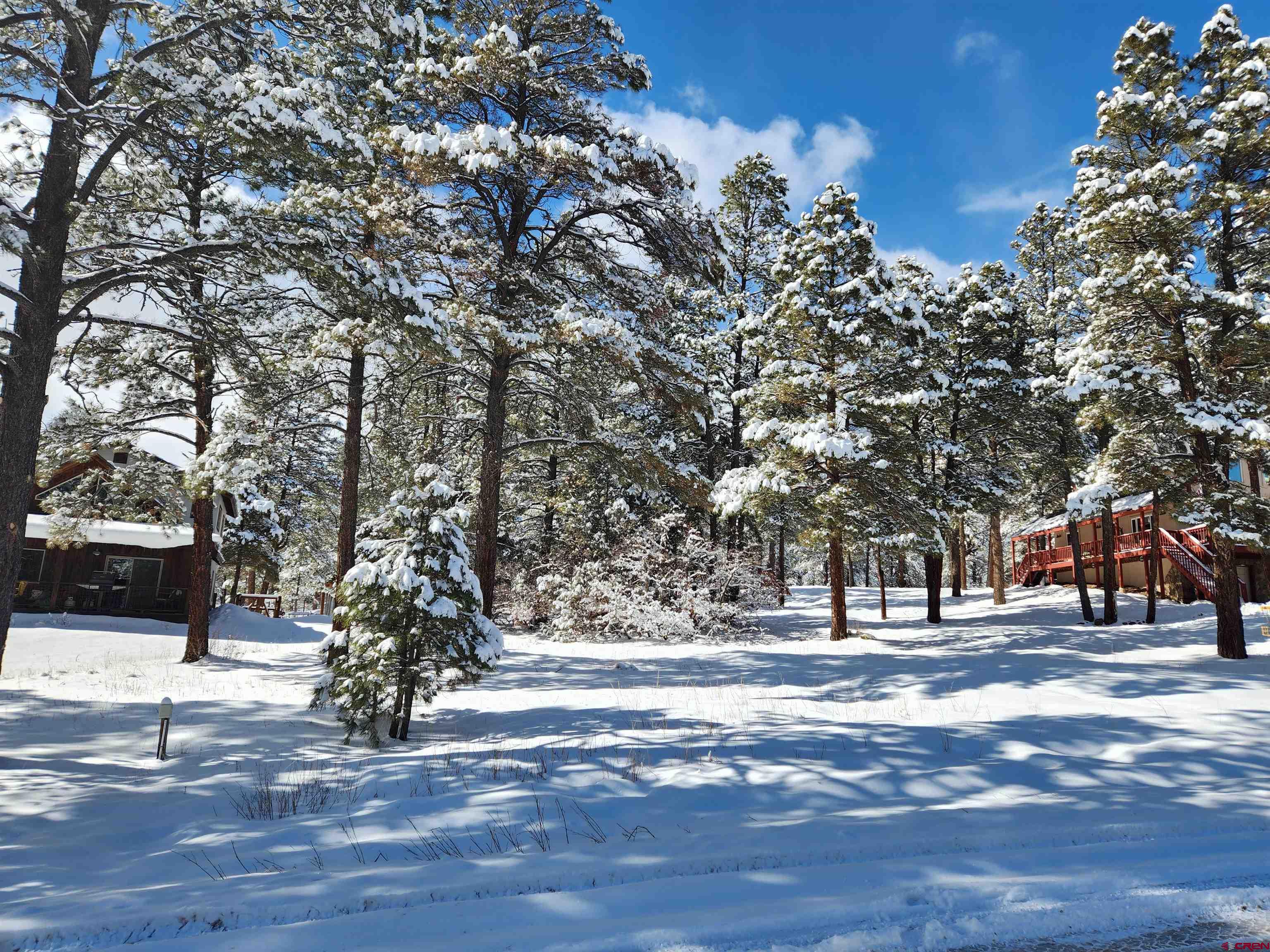 533 Dutton Drive, Pagosa Springs, CO 81147 Listing Photo  14