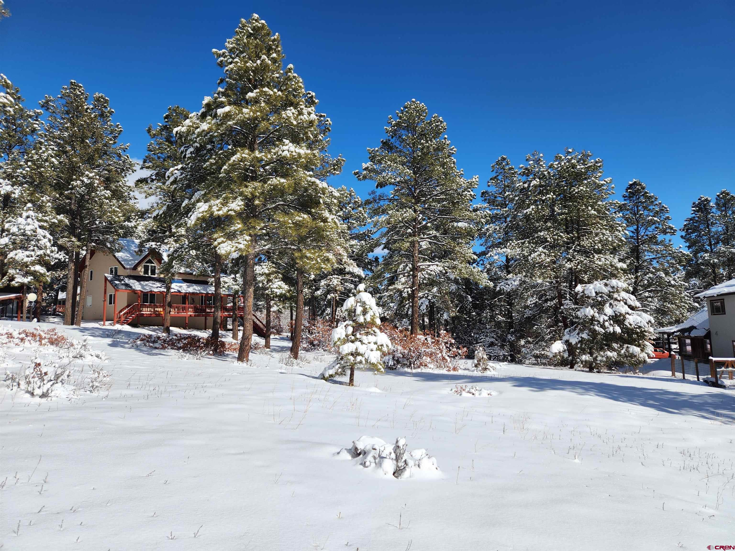 533 Dutton Drive, Pagosa Springs, CO 81147 Listing Photo  15