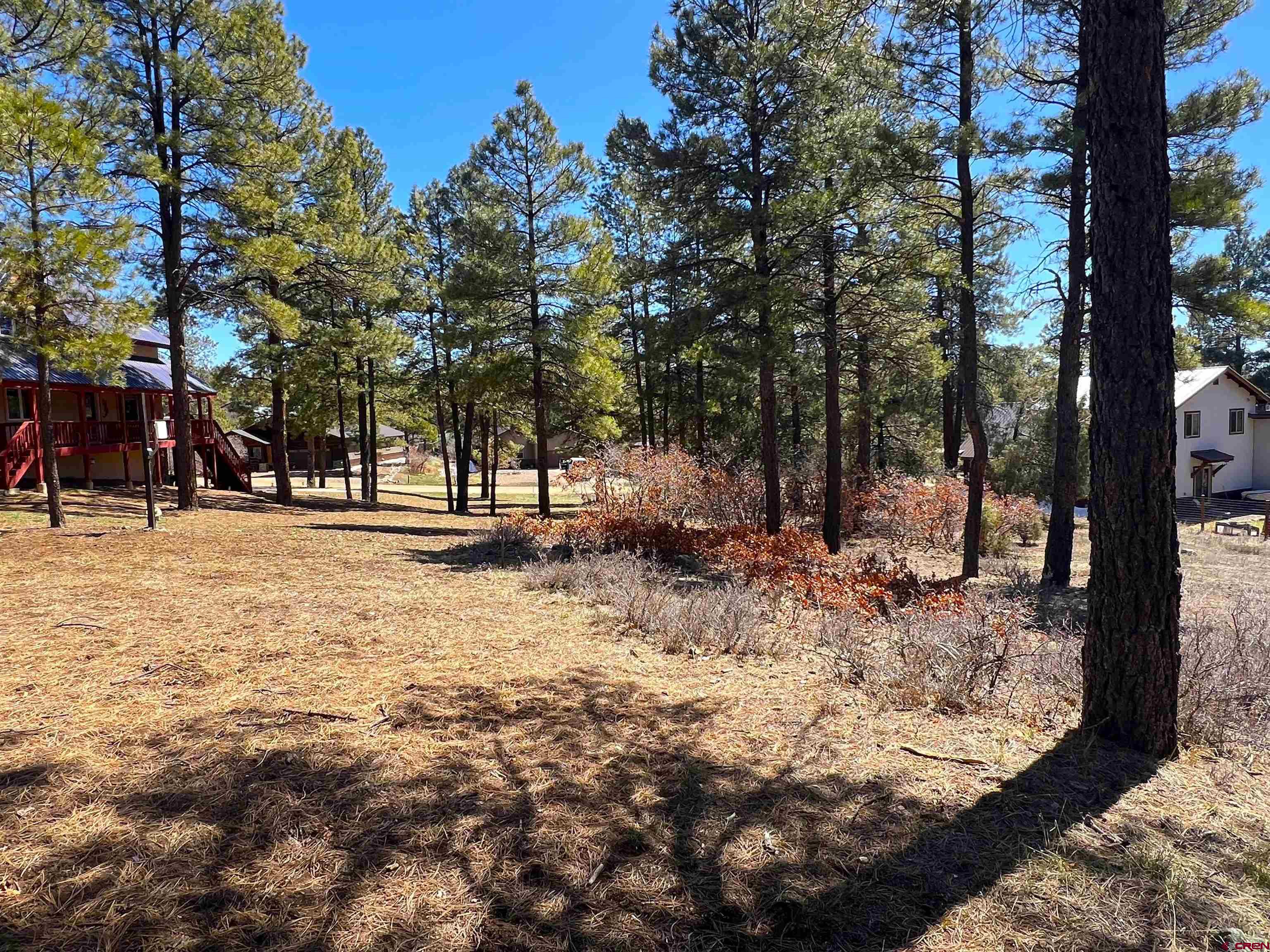 533 Dutton Drive, Pagosa Springs, CO 81147 Listing Photo  25