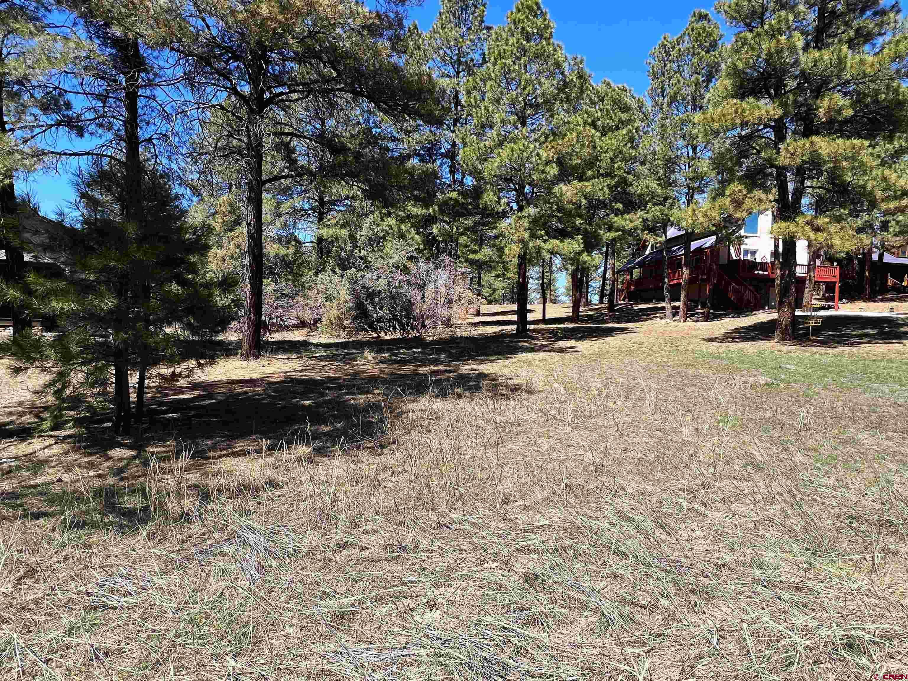 533 Dutton Drive, Pagosa Springs, CO 81147 Listing Photo  8
