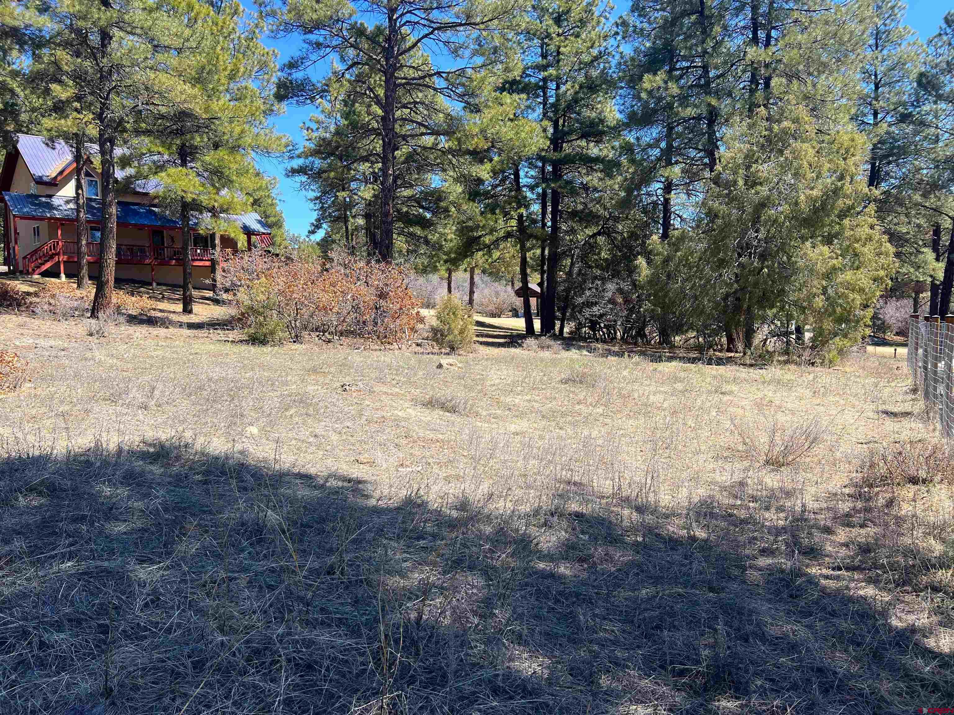 533 Dutton Drive, Pagosa Springs, CO 81147 Listing Photo  10