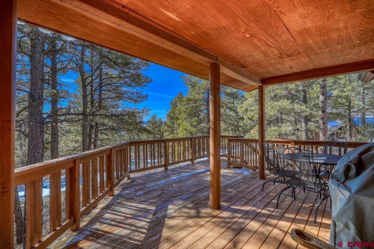 276 Dutton Drive, Pagosa Springs, CO 81147 Listing Photo  17
