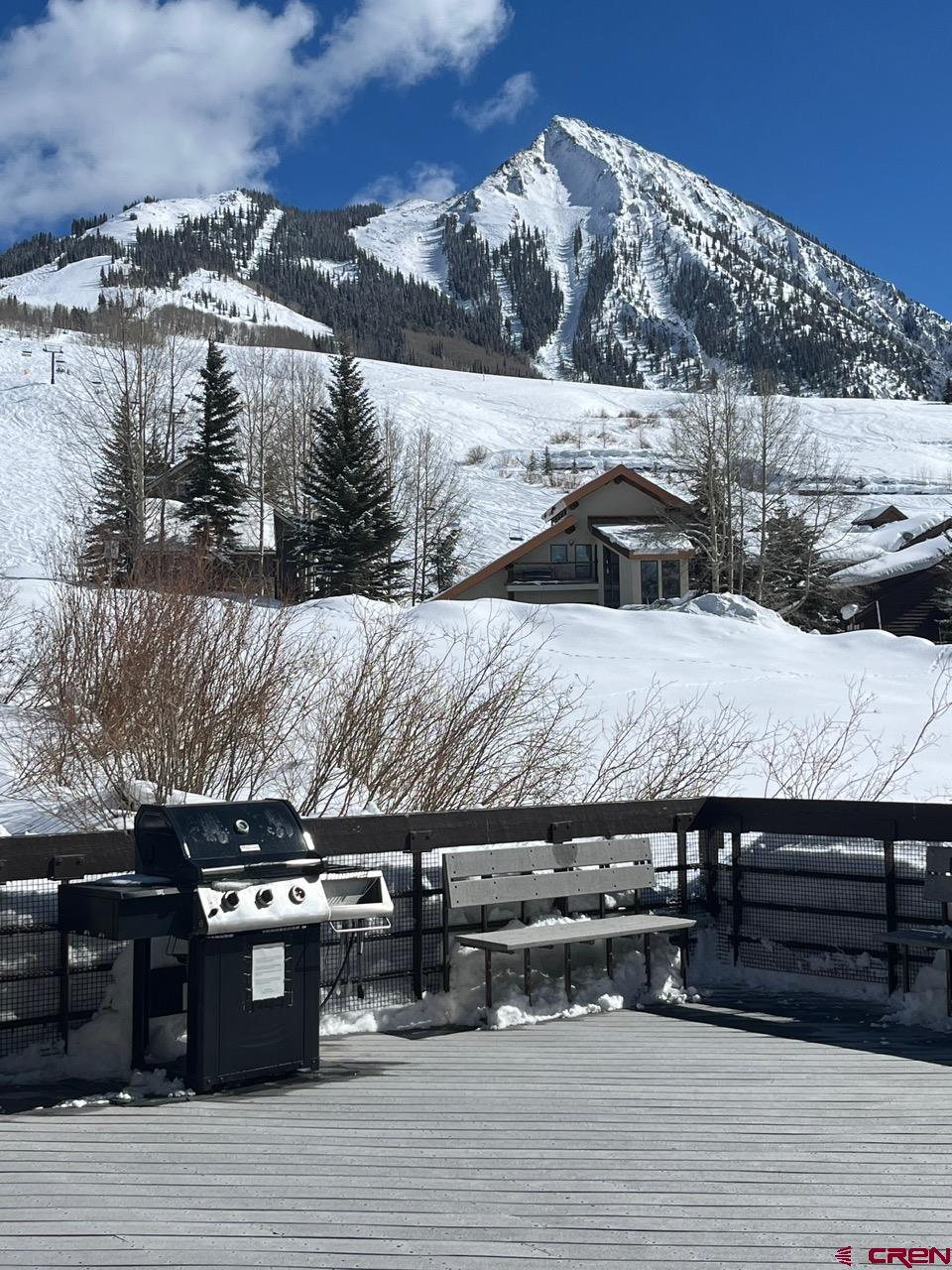 400 Gothic Road, #103, Mt. Crested Butte, CO 81225 Listing Photo  17
