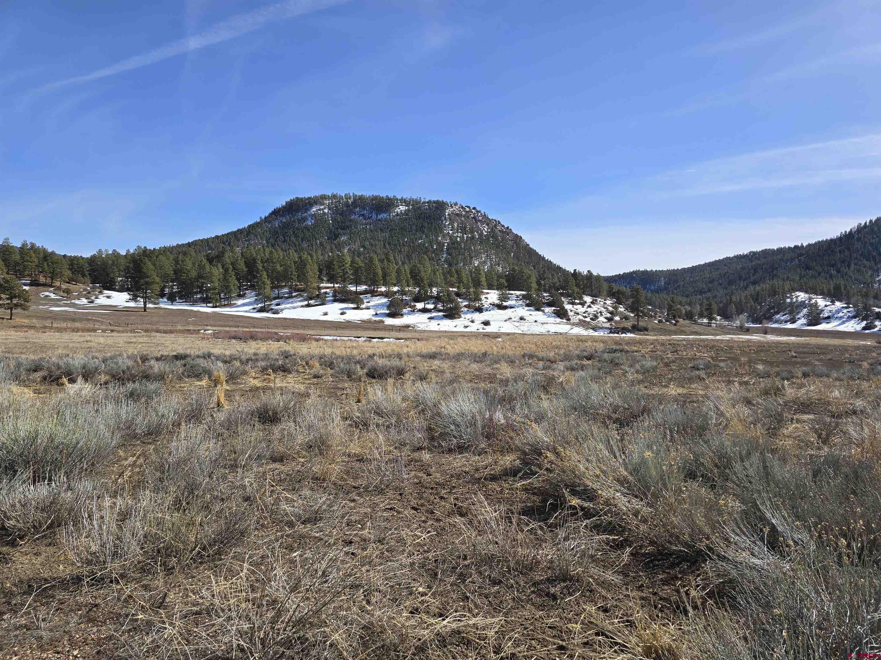 X W Highway 160, Pagosa Springs, CO 81147 Listing Photo  4
